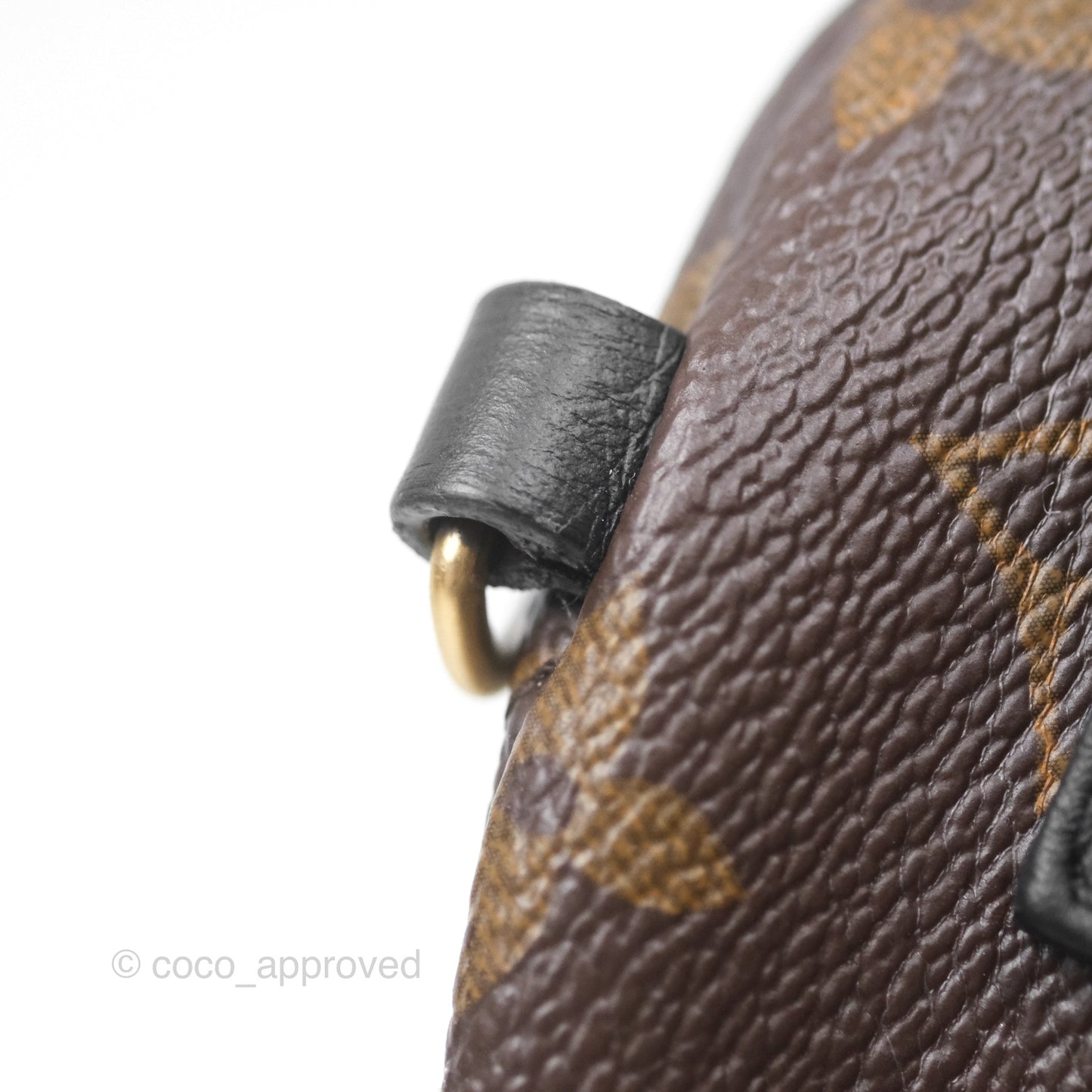 Louis Vuitton Monogram Mini Palm Springs Backpack⁣