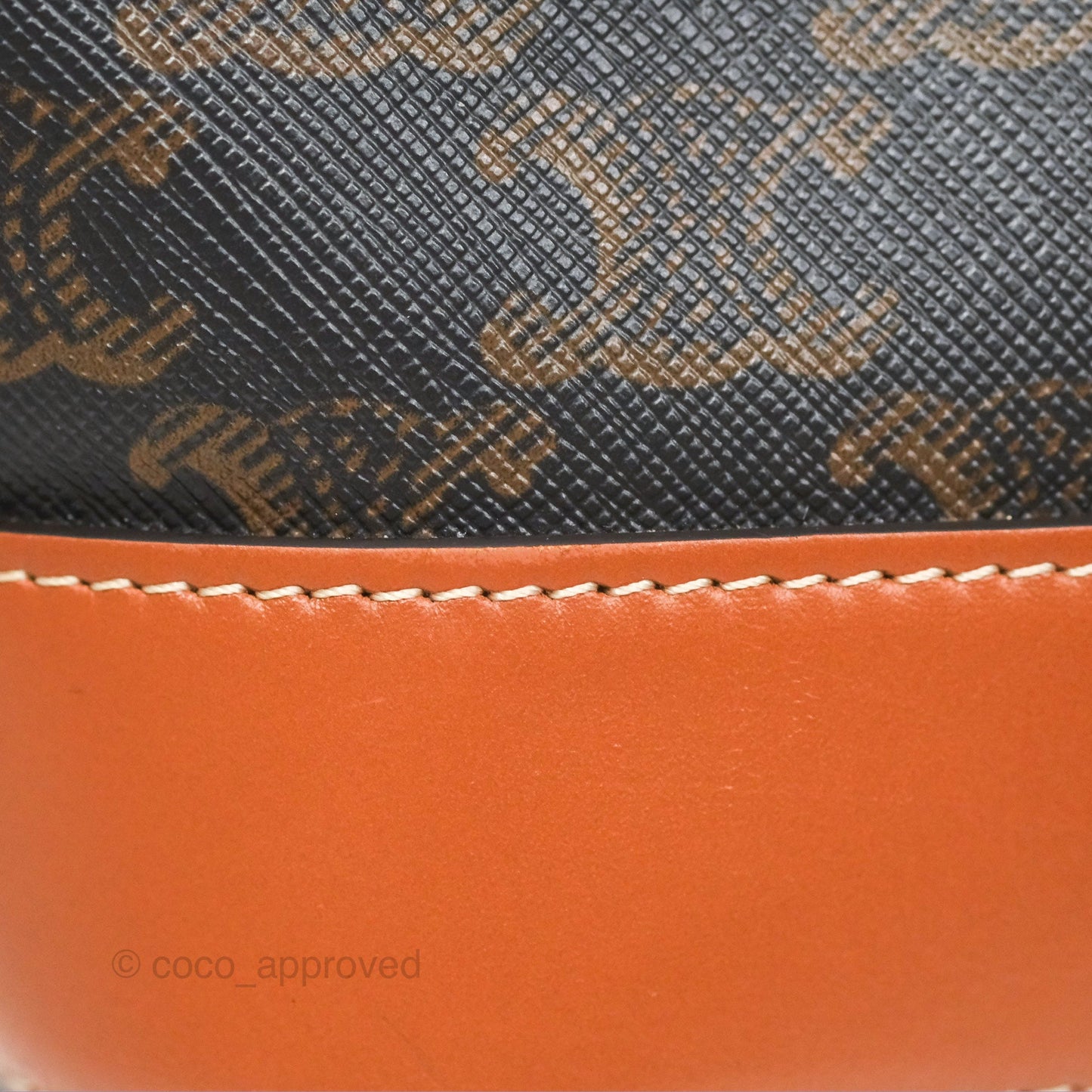 Celine Small Bucket Triomphe Canvas Tan Calfskin