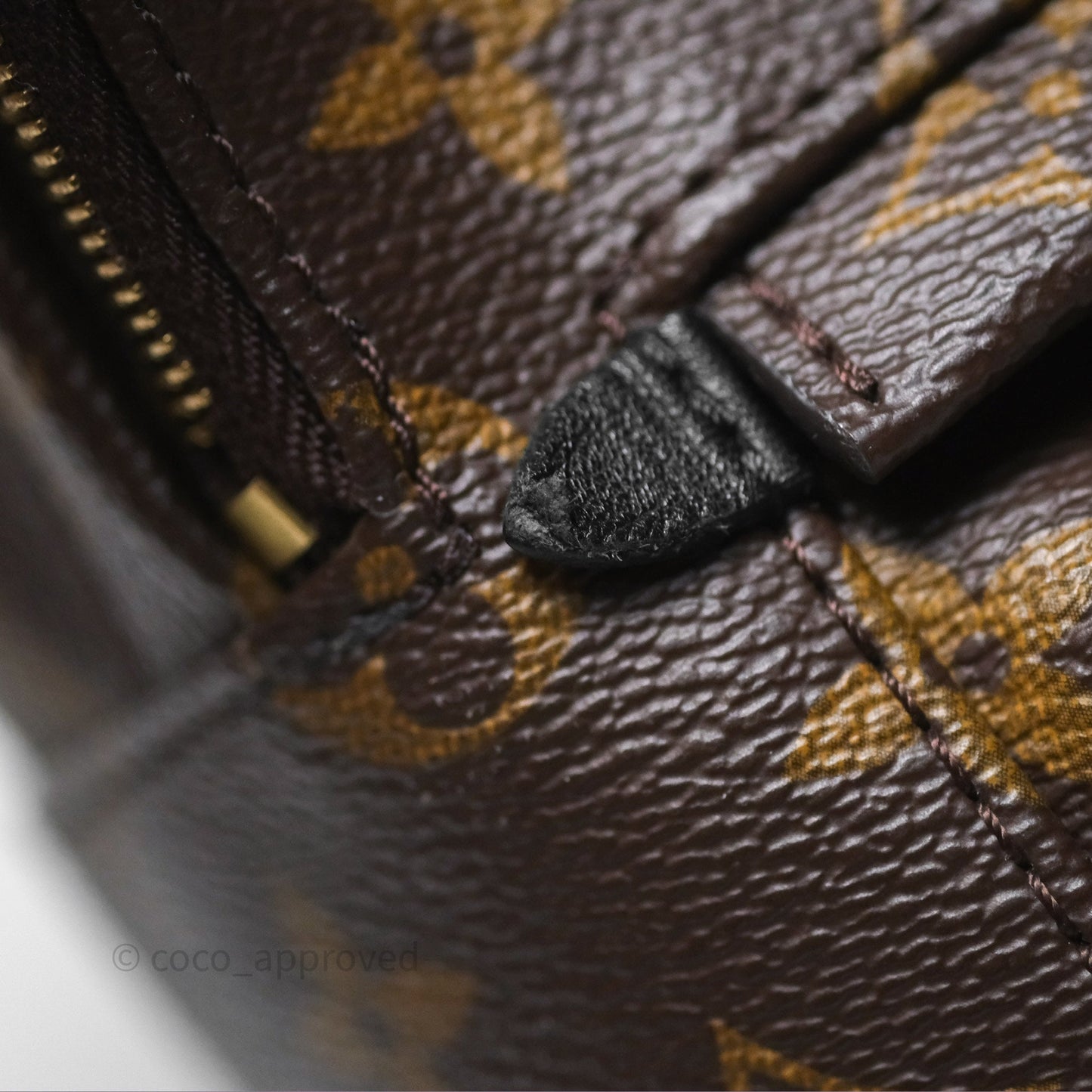 Louis Vuitton Monogram Mini Palm Springs Backpack⁣