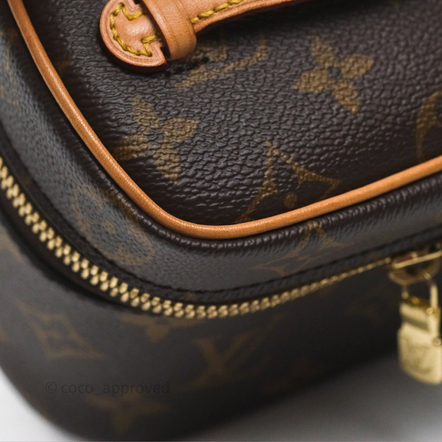 Louis Vuitton Monogram Nice Nano