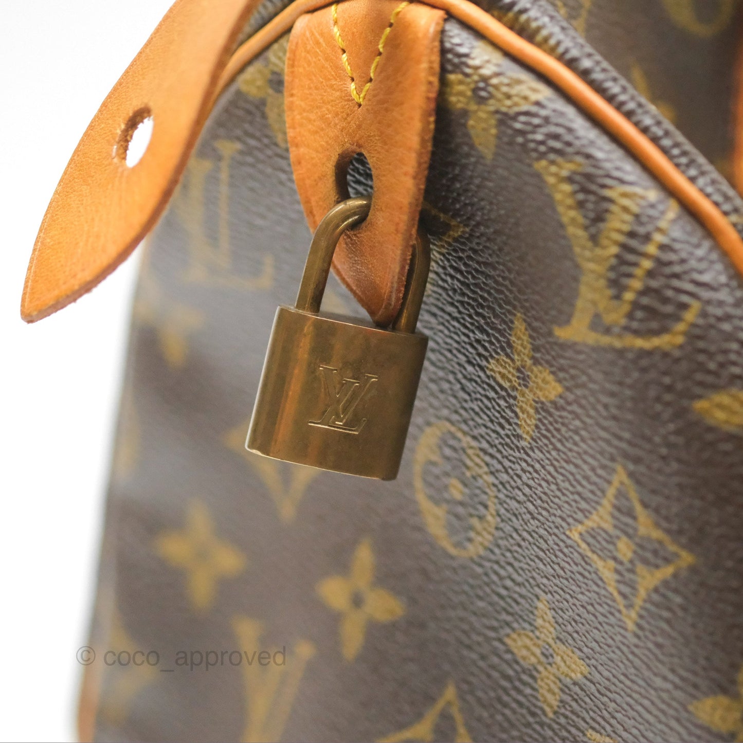 Louis Vuitton Speedy 30 Monogram Canvas