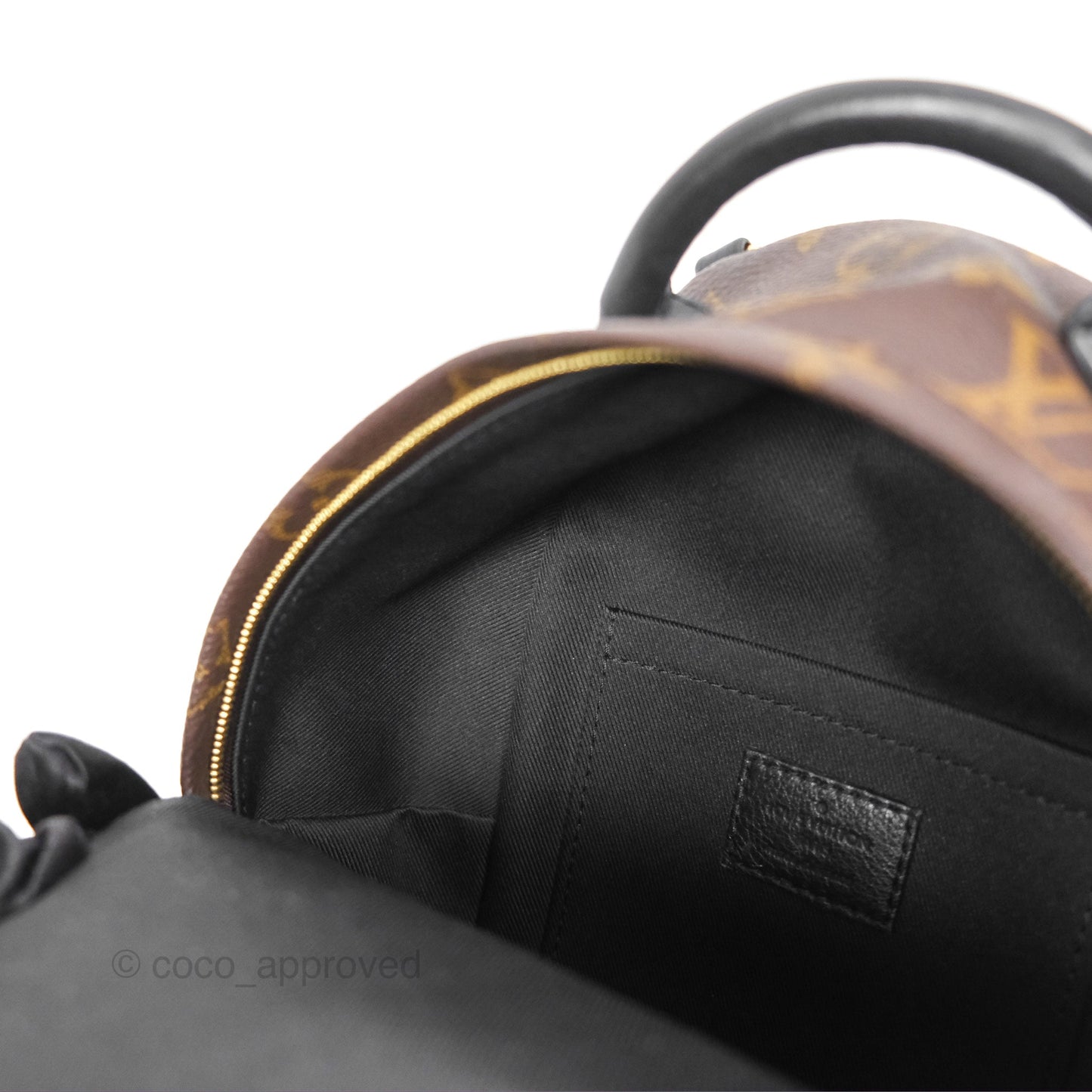Louis Vuitton Mini Palm Springs Backpack⁣ Monogram