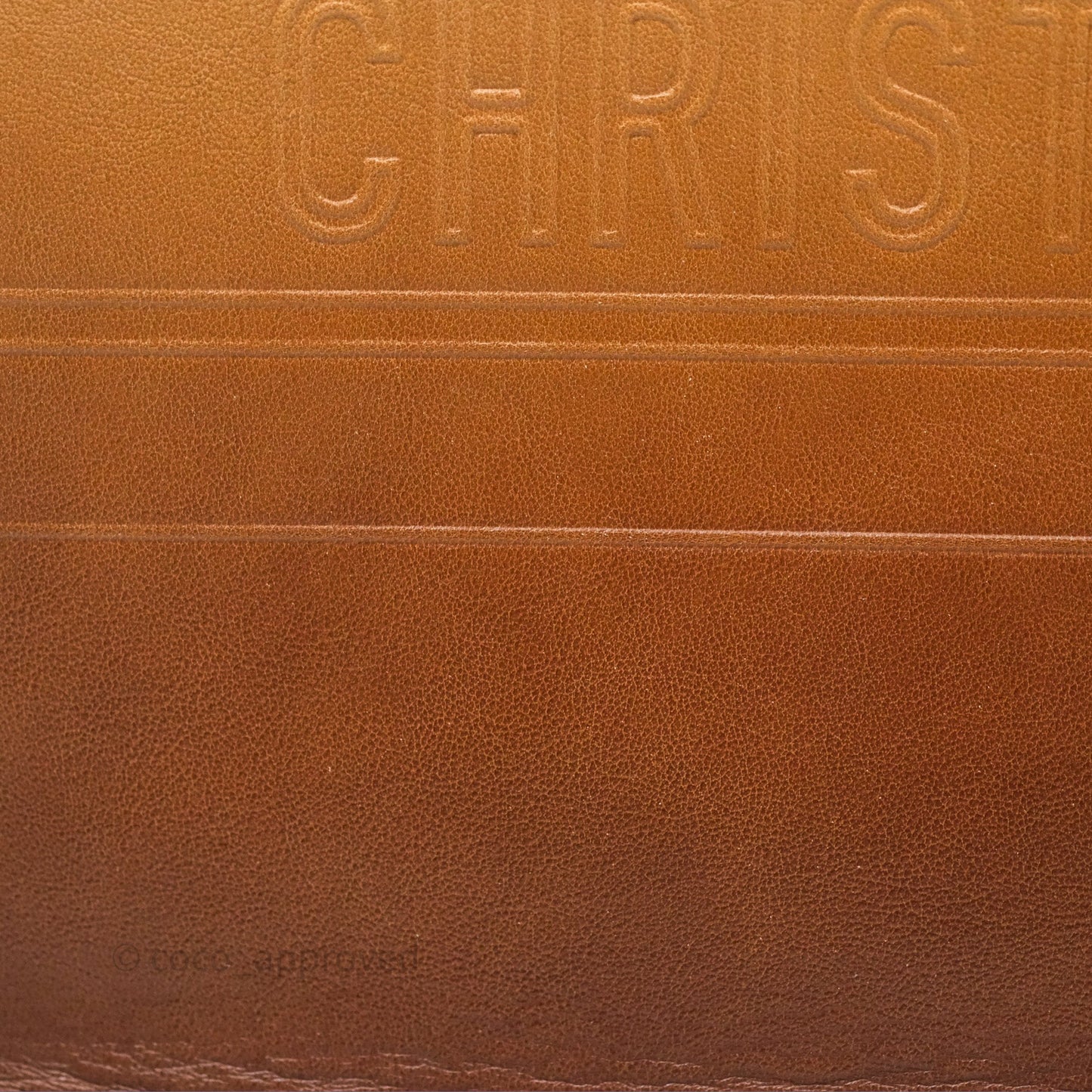 Christian Dior Medium Book Tote Gradient Brown Calfskin