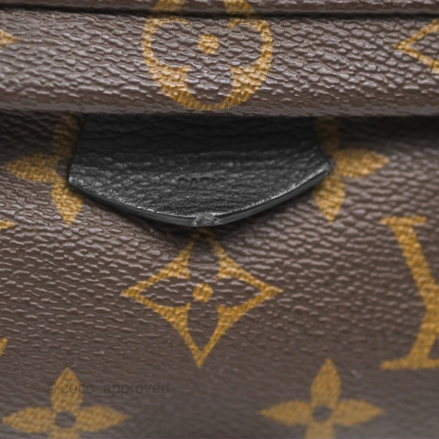 Louis Vuitton Mini Palm Springs Backpack⁣ Monogram