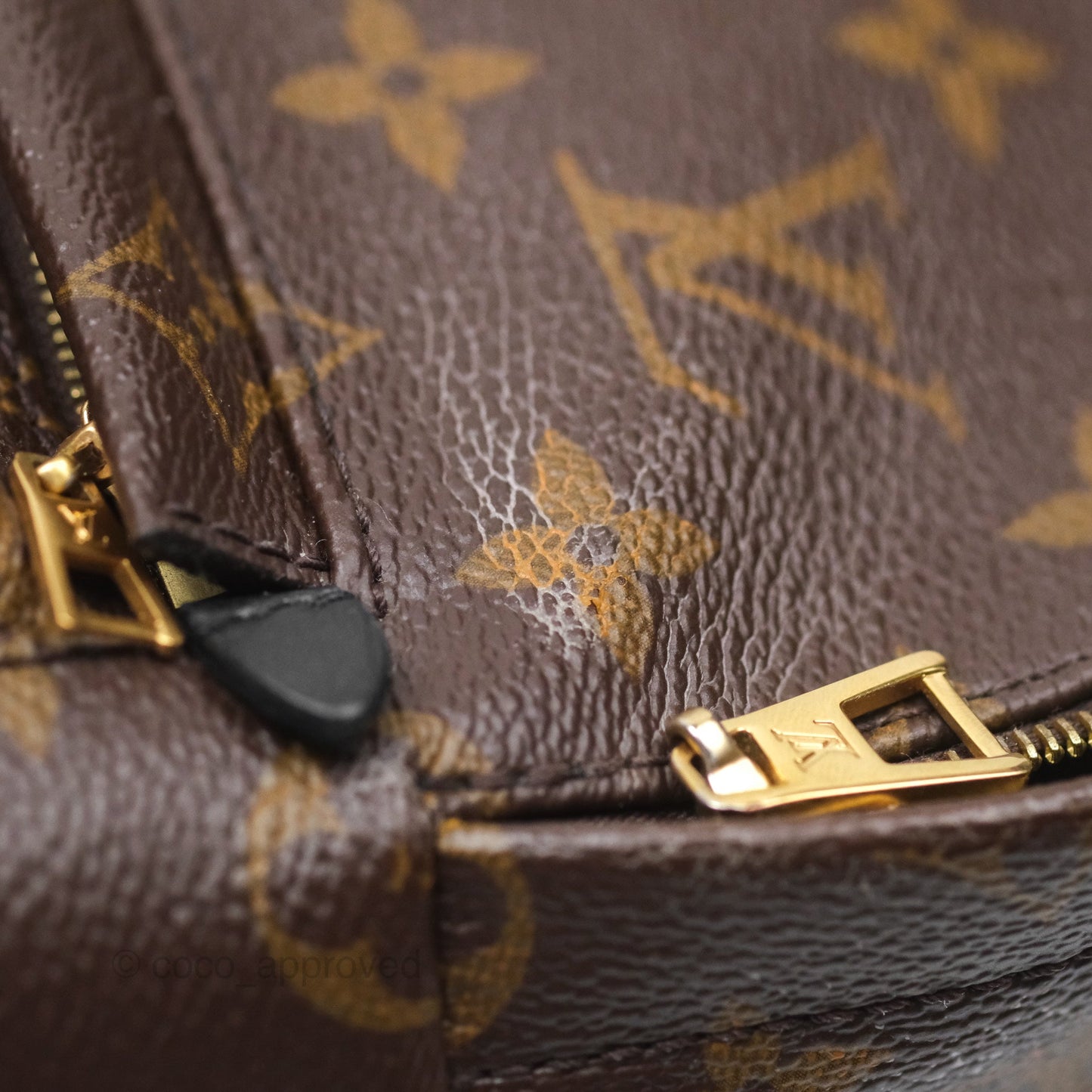 Louis Vuitton Monogram Mini Palm Springs Backpack⁣