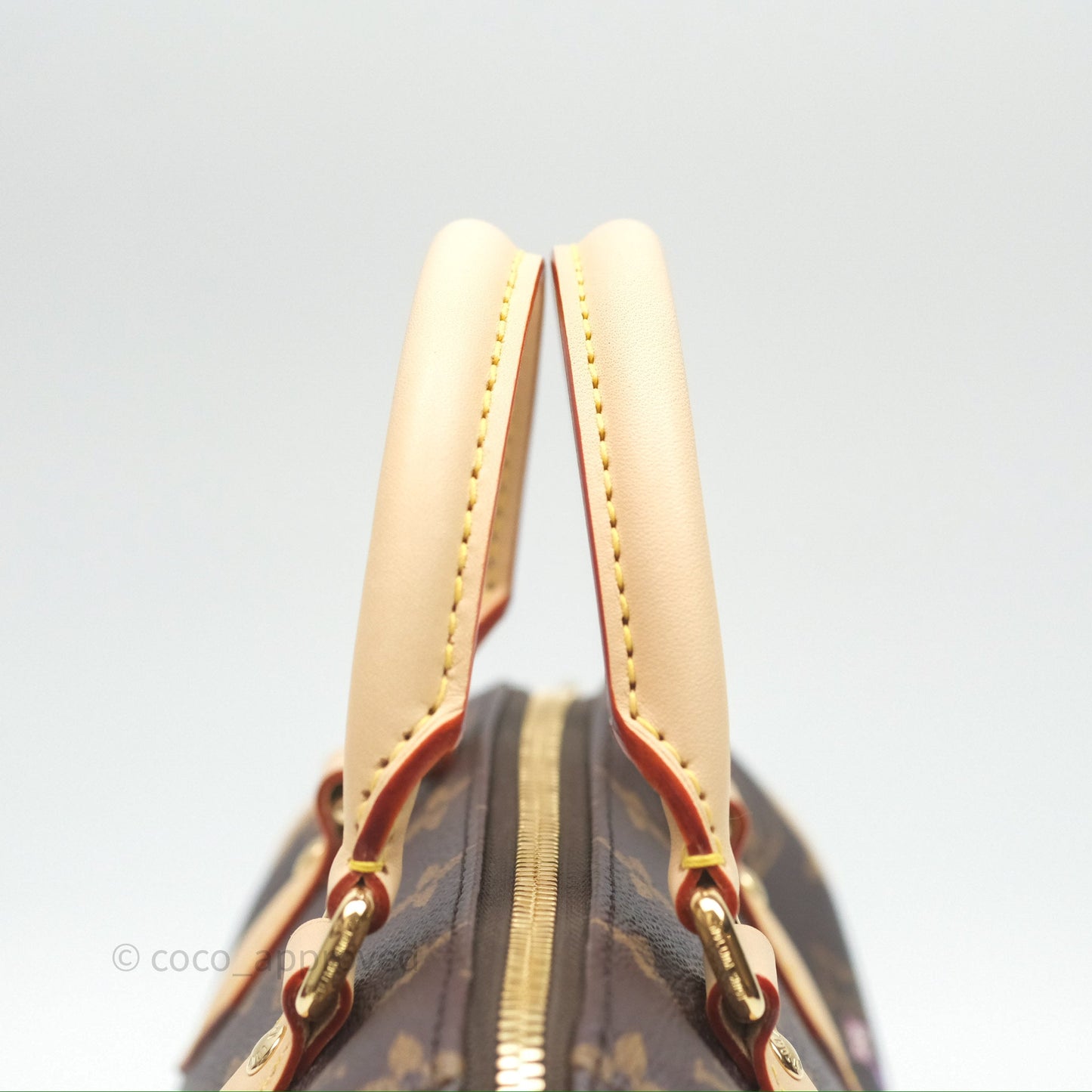 Louis Vuitton LV x Murakami Speedy Bandoulière 20 Monogram