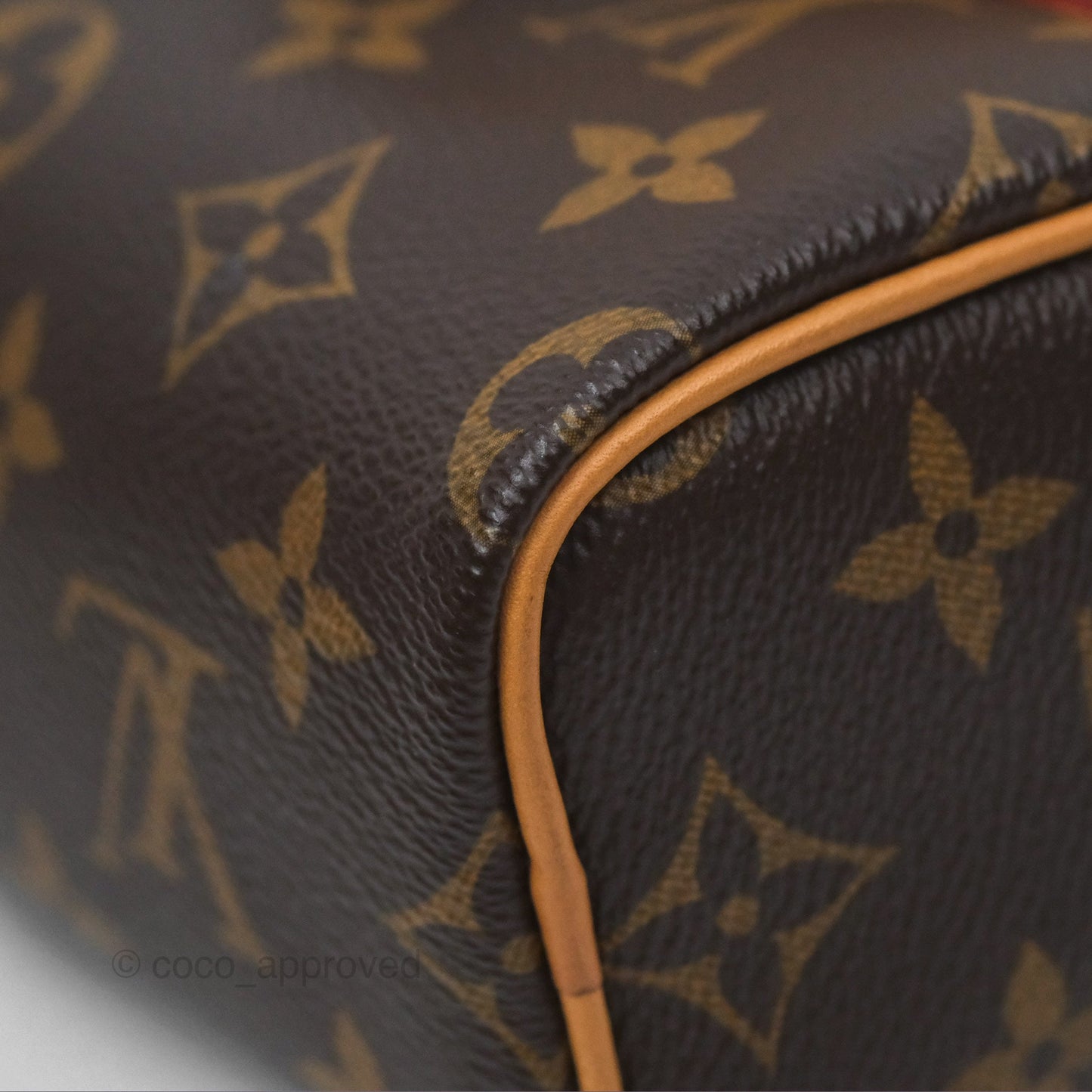 Louis Vuitton Nano Speedy Monogram