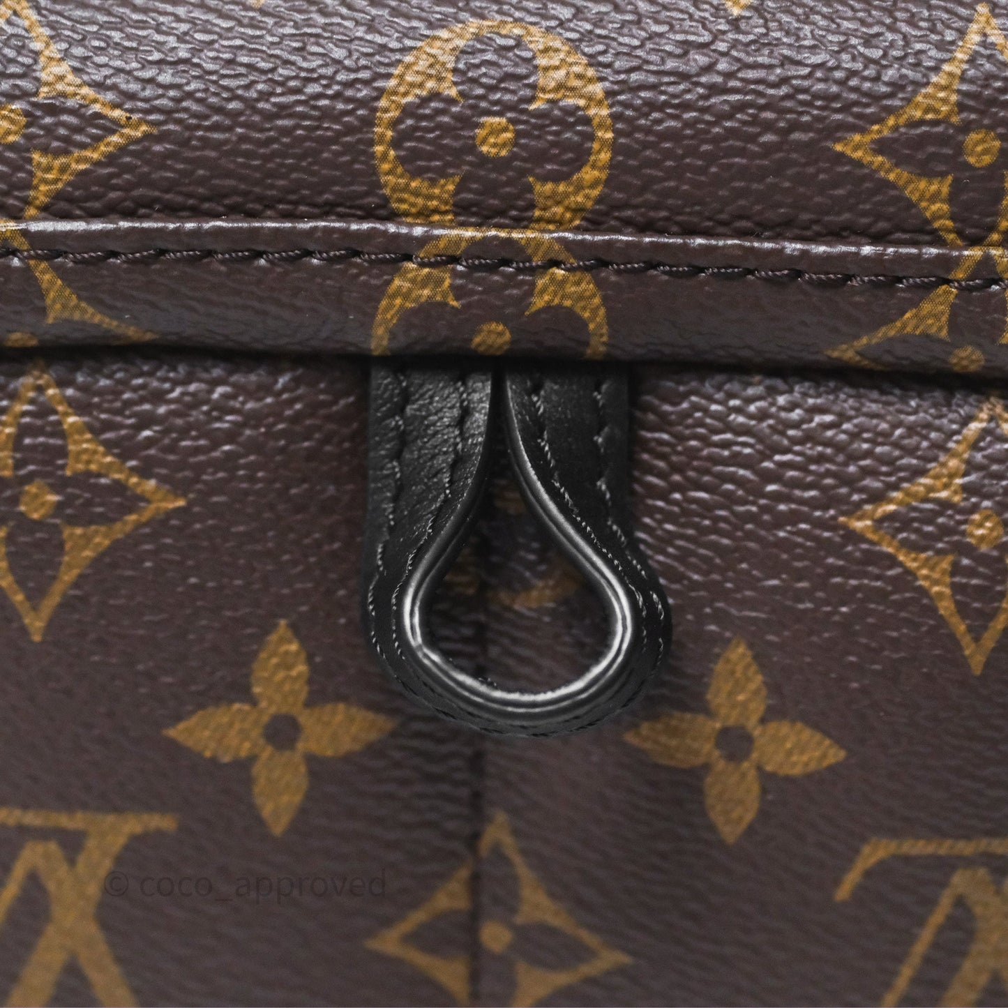 Louis Vuitton Mini Palm Springs Backpack⁣ Monogram