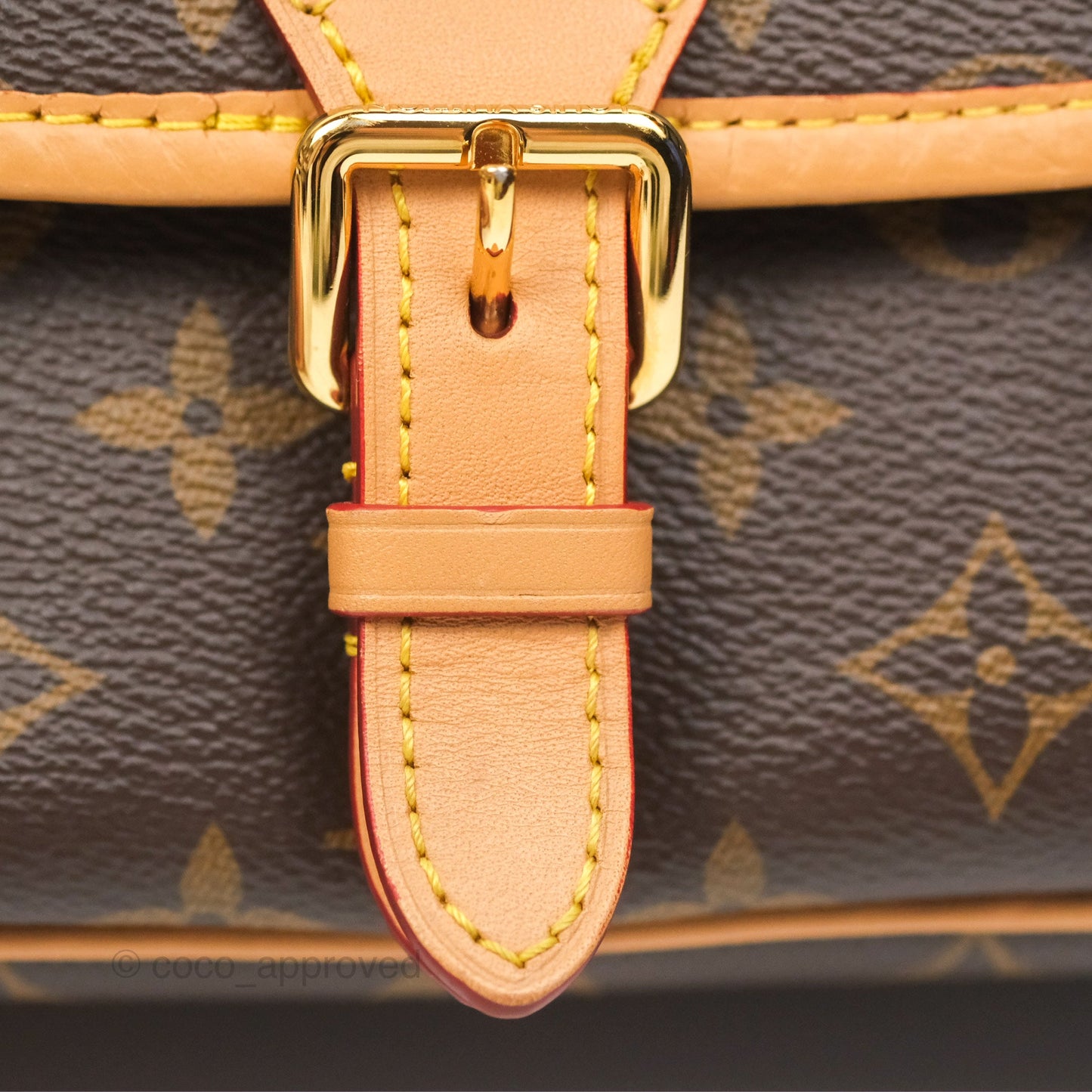 Louis Vuitton Diane Bag Monogram Canvas with Jacquard Strap