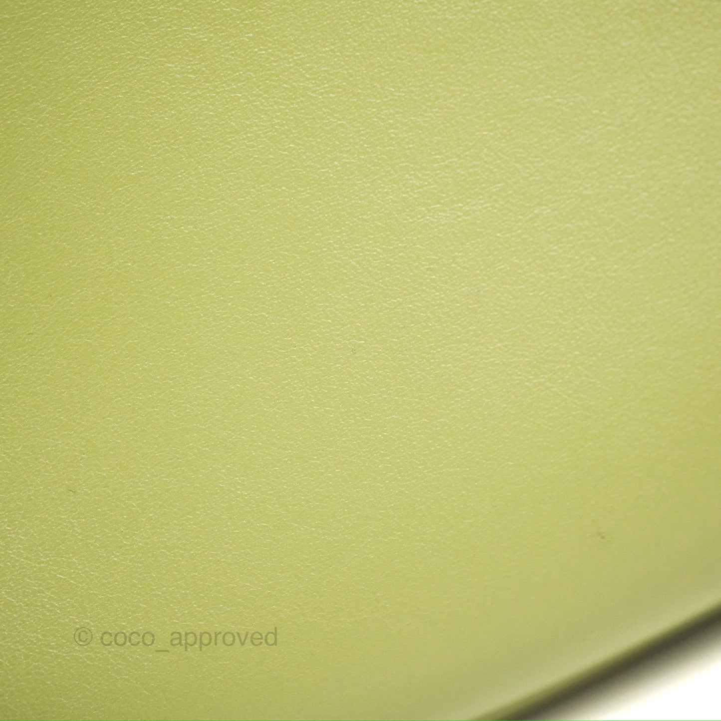 Celine Ava Bag Avocado Green Calfskin