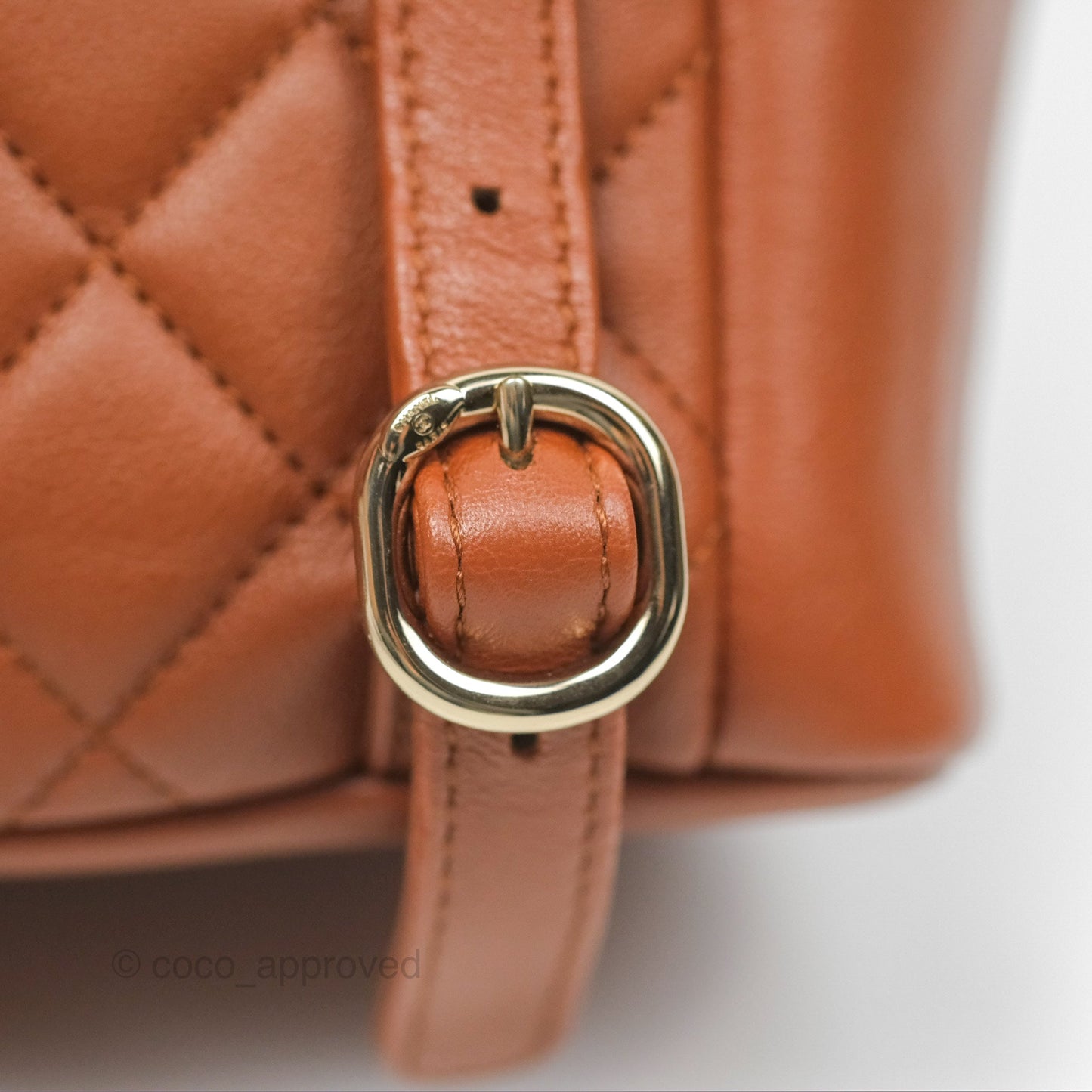 Chanel Medium Duma Backpack Tan Brown Calfskin Gold Hardware