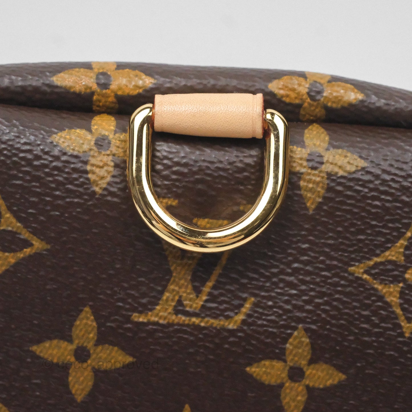 Louis Vuitton Bum Bag Monogram Canvas