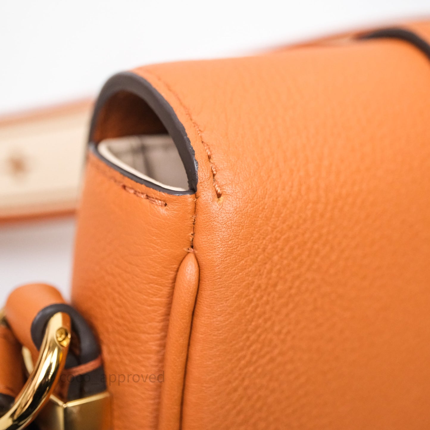 Louis Vuitton Pont 9 Soft PM Brown Grained Calfskin Gold Hardware