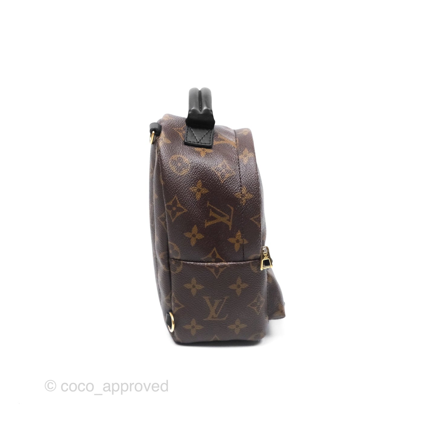 Louis Vuitton Monogram Mini Palm Springs Backpack⁣