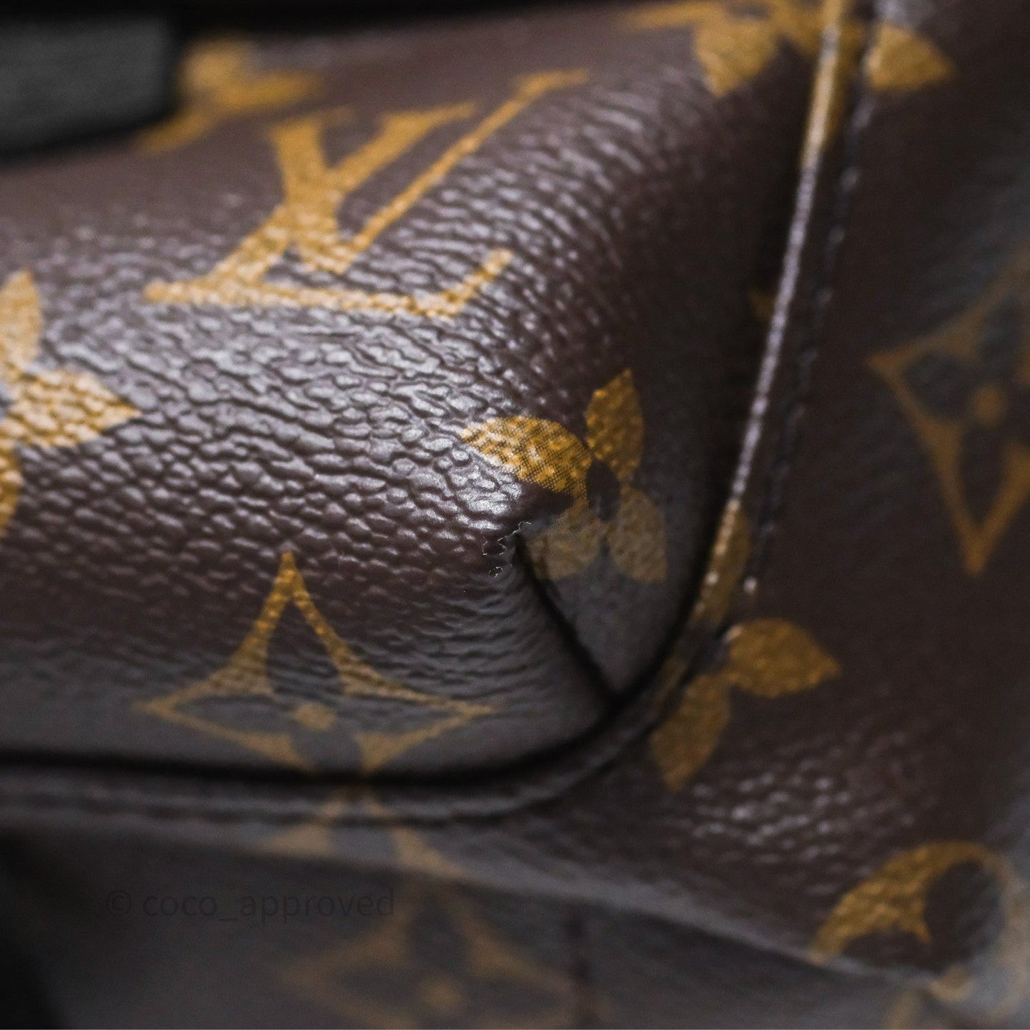 Louis Vuitton Mini Palm Springs Backpack⁣ Monogram