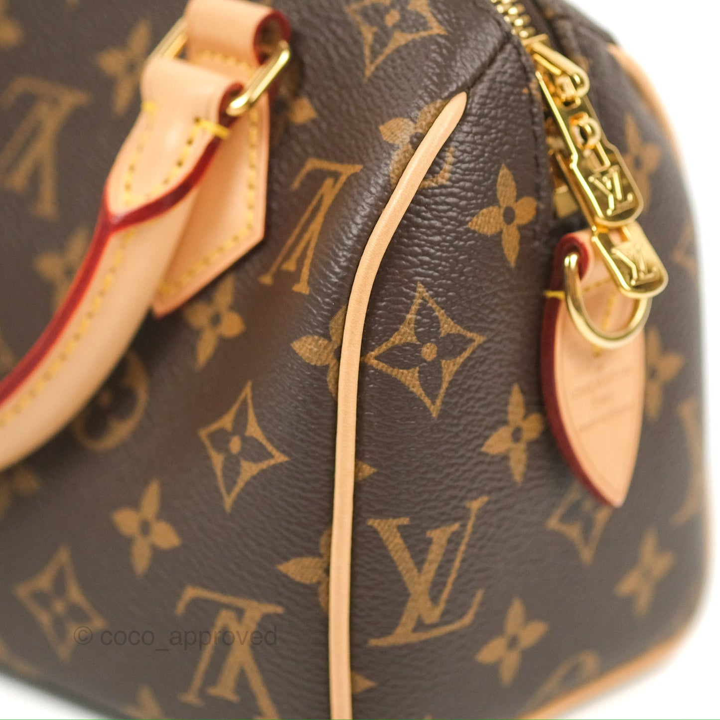 Louis Vuitton Speedy Bandoulière 20 Monogram