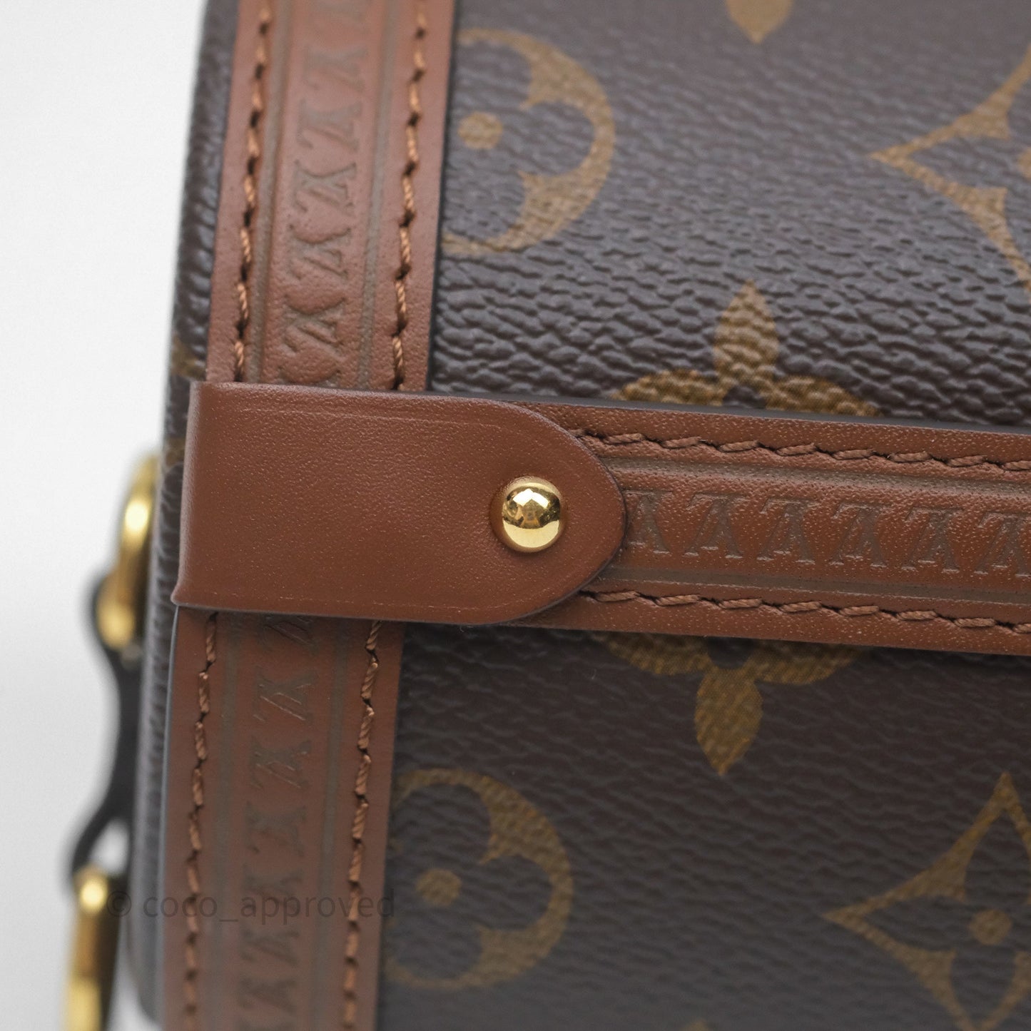 Louis Vuitton Papillon Trunk Monogram Coated Canvas
