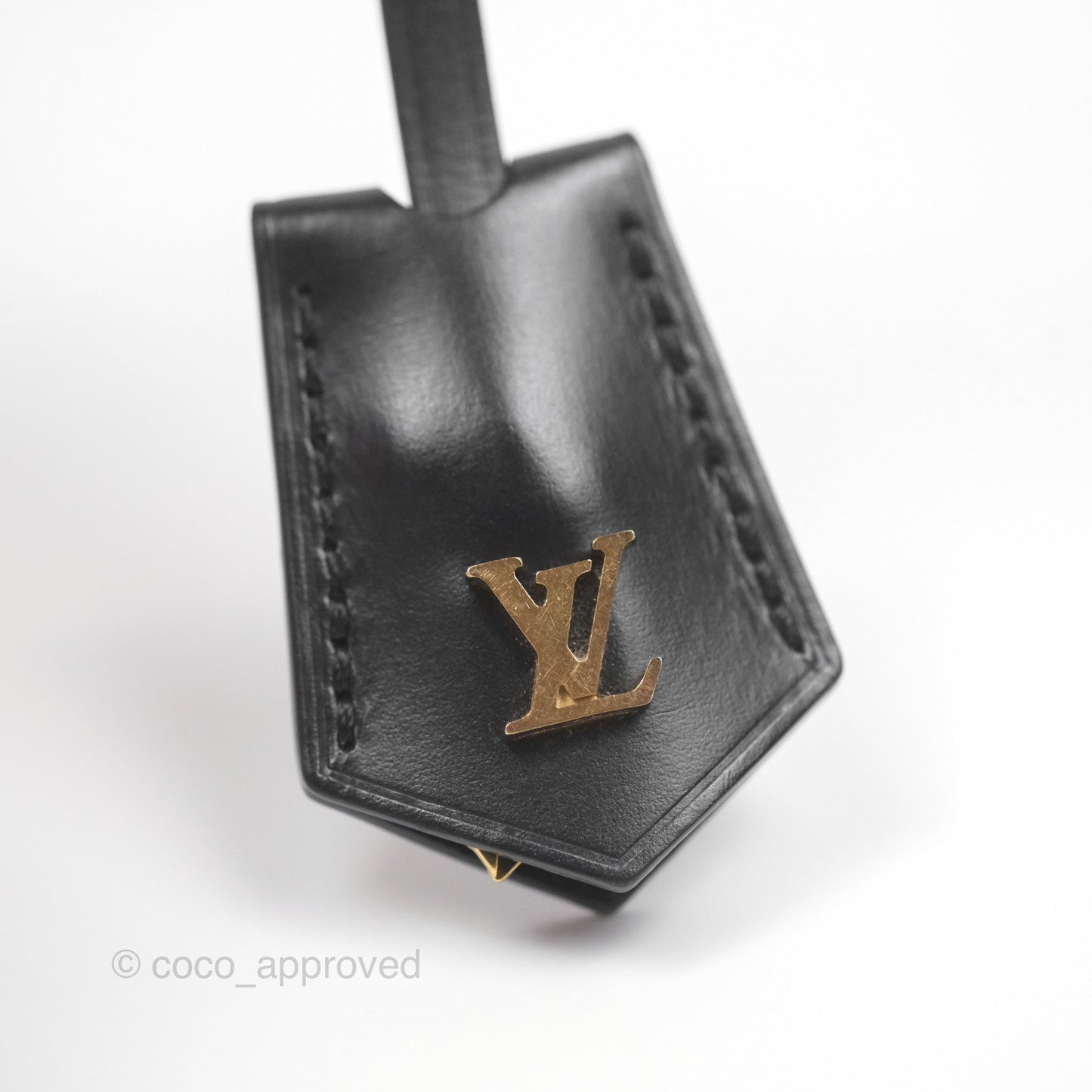 Louis Vuitton Reverse Monogram Vanity PM