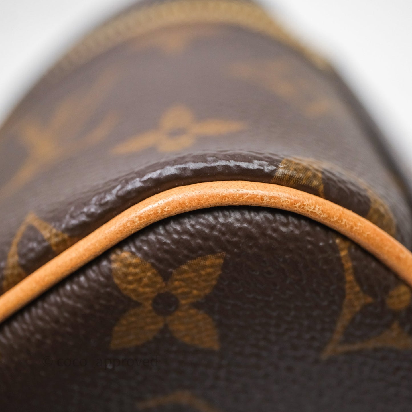 Louis Vuitton Nice Nano Monogram Canvas