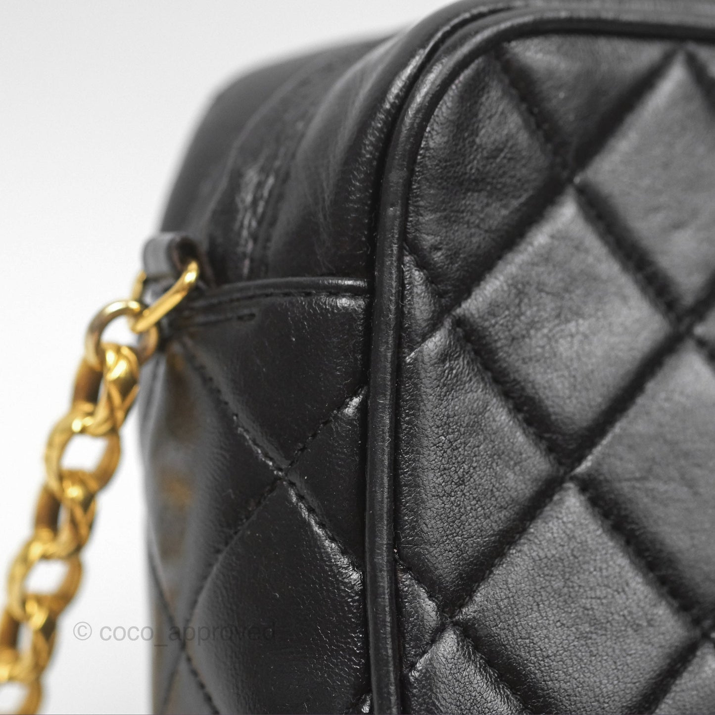 Chanel Vintage Diana Fringe Camera Bag Black Lambskin 24K Gold Hardware