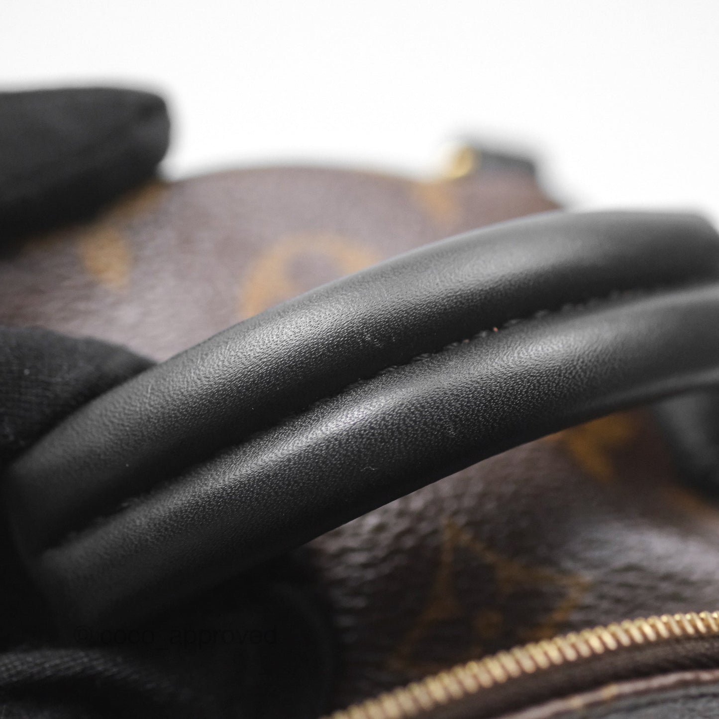 Louis Vuitton Monogram Mini Palm Springs Backpack⁣