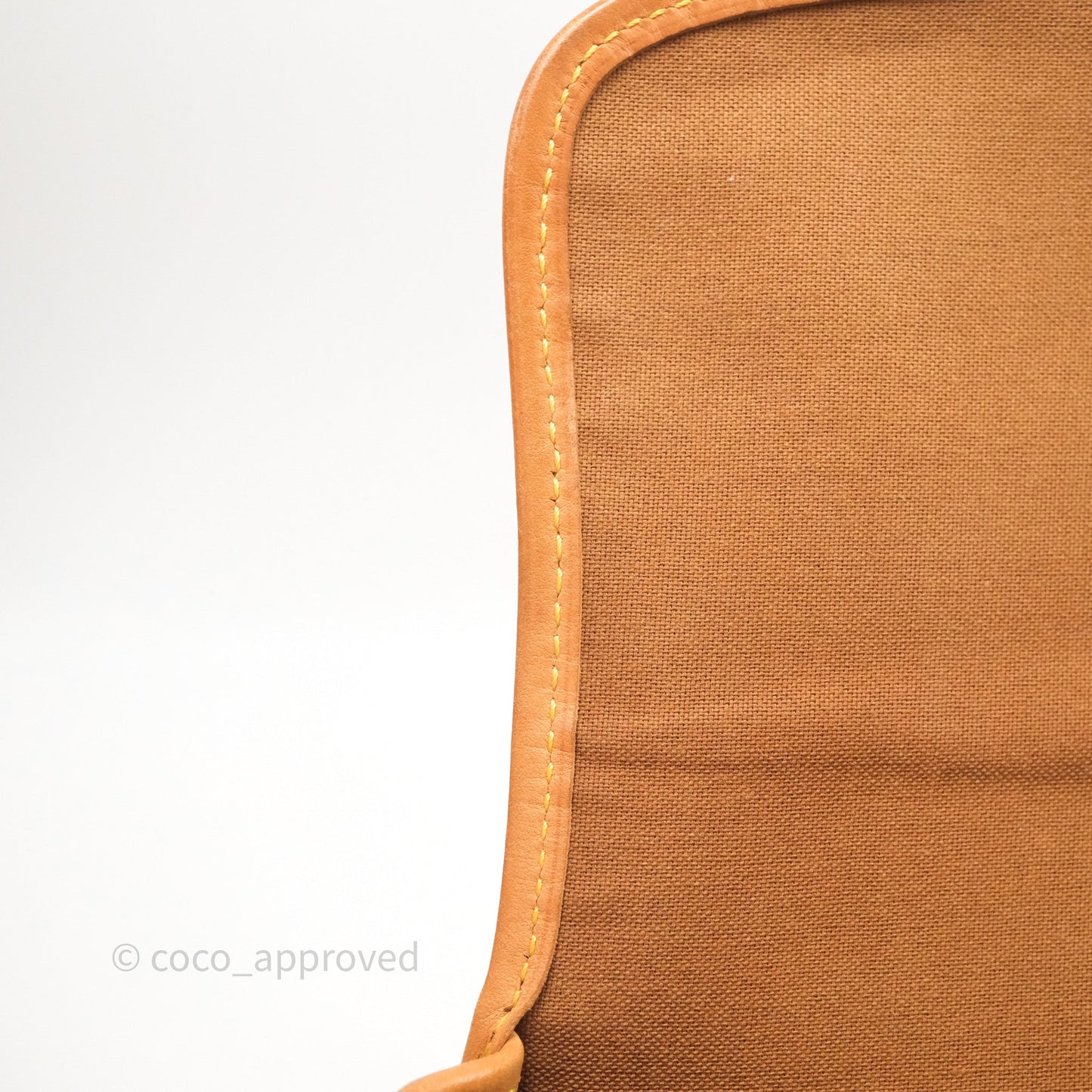 Louis Vuitton Vintage Diane Bag Monogram Canvas