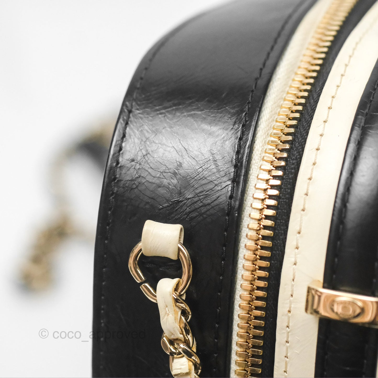 Chanel Camera Case Bag Black/White Calfskin Gold Hardware