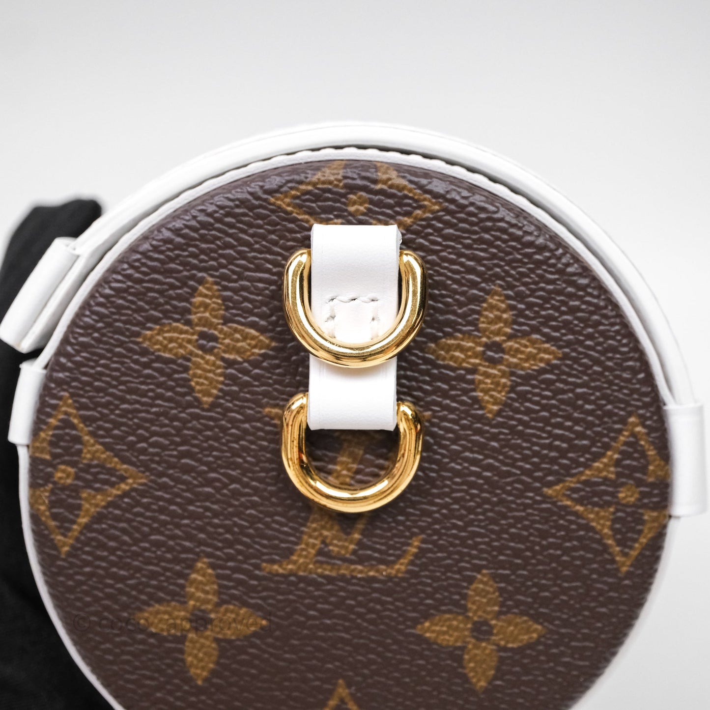 Louis Vuitton Monogram Papillon Trunk Bag
