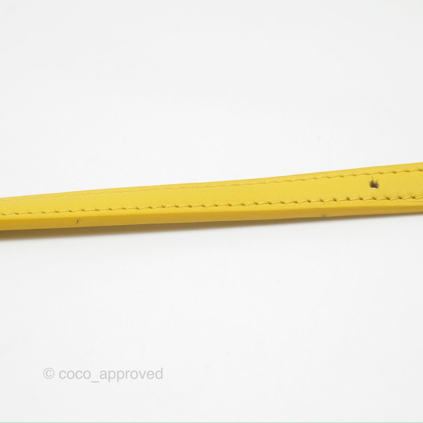 Loewe Small Goya Bag Yellow Silk Calfskin