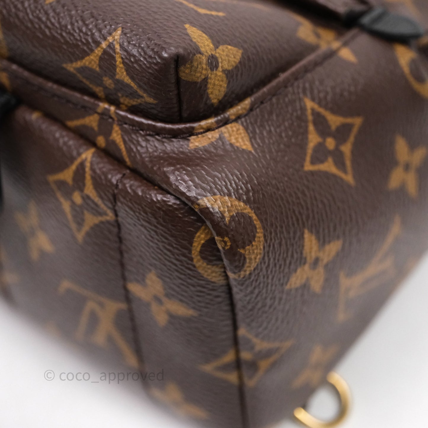 Louis Vuitton Mini Palm Springs Backpack⁣ Monogram