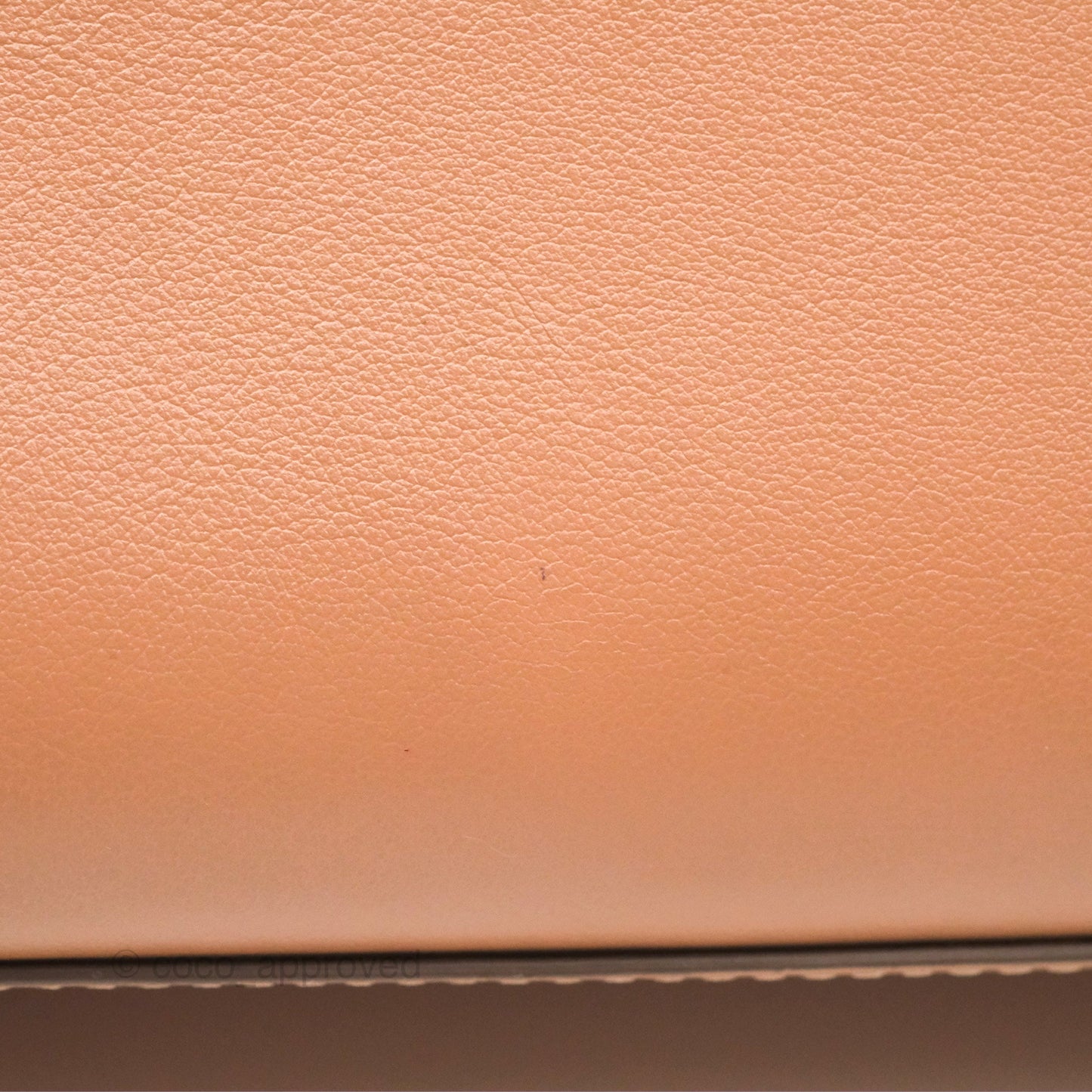 Delvaux Tempête Mini Beige Supple Calfskin Gold Hardware
