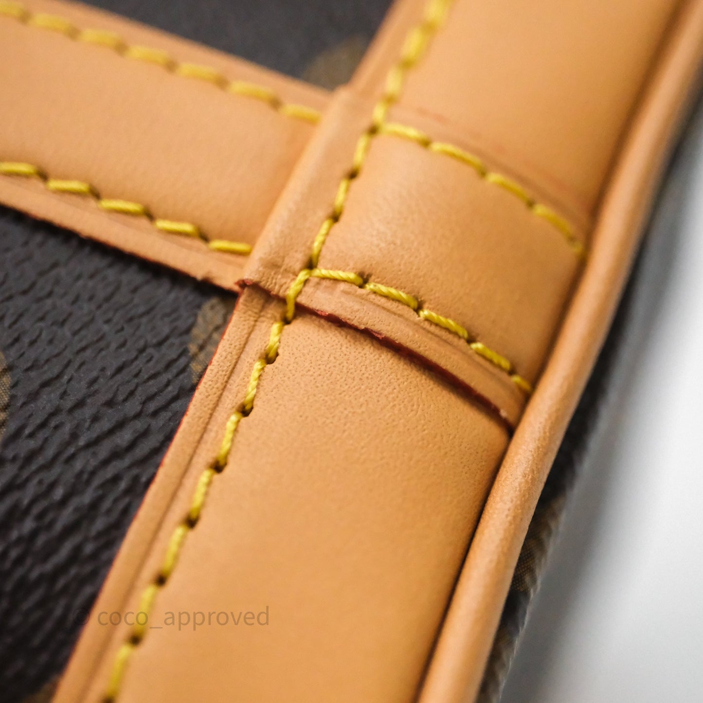 Louis Vuitton Nano Noe Monogram Canvas