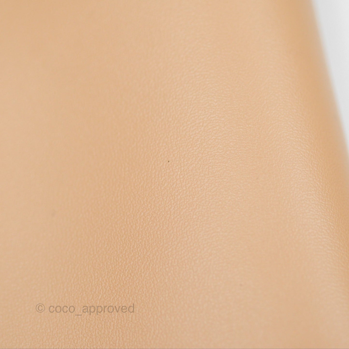 Miu Miu Ivy Leather Bag Beige