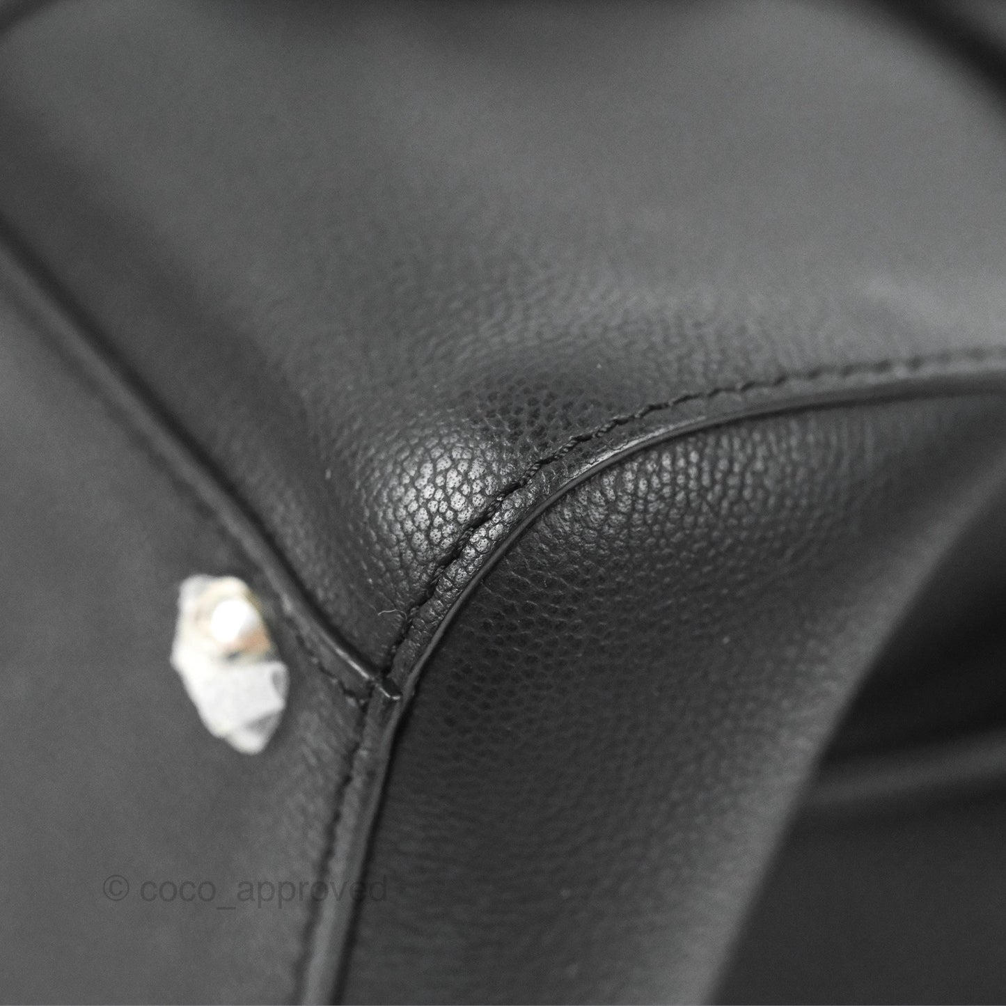 Delvaux Mini Brillant Bag Vegetal Rodeo Black Calf Silver Hardware