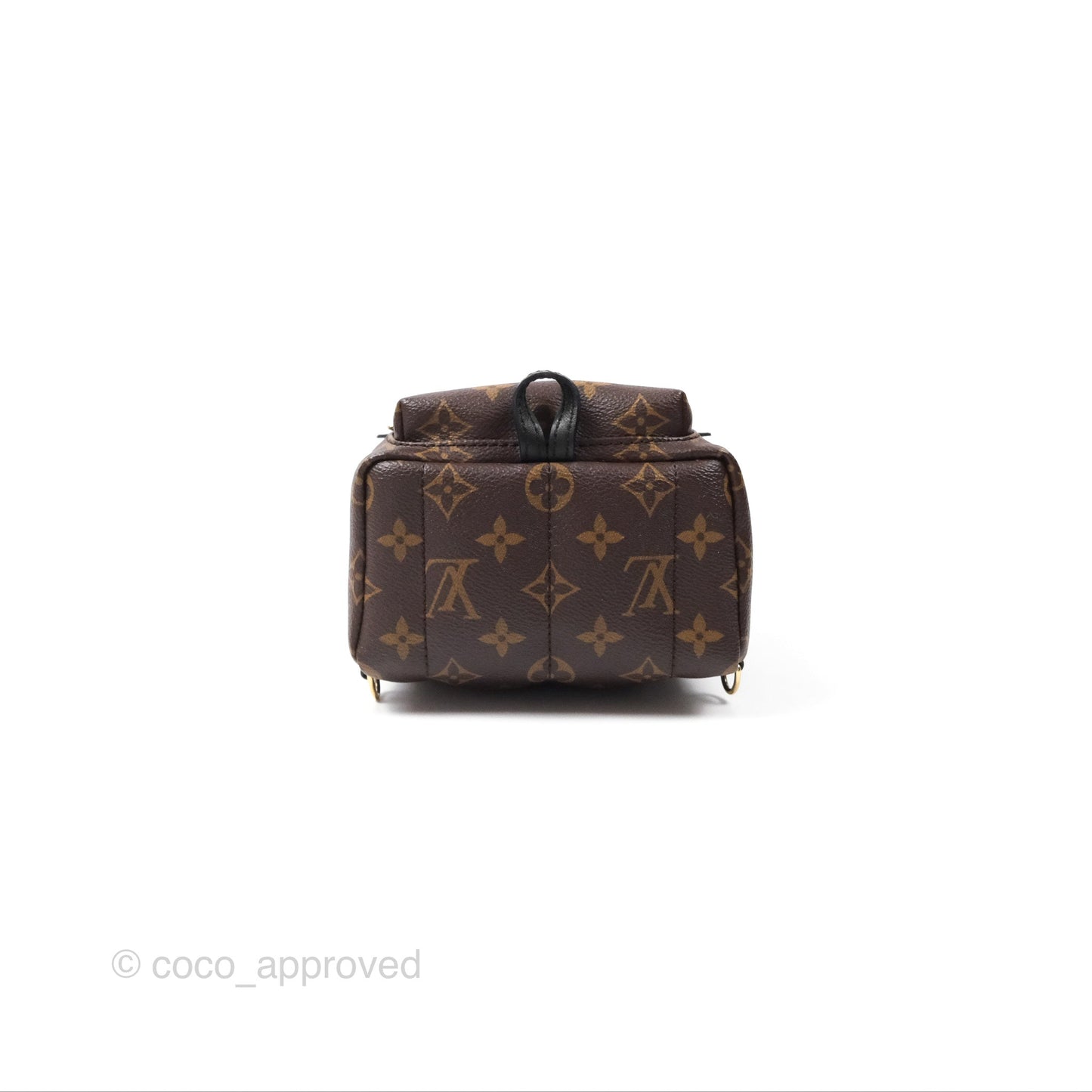 Louis Vuitton Monogram Mini Palm Springs Backpack⁣
