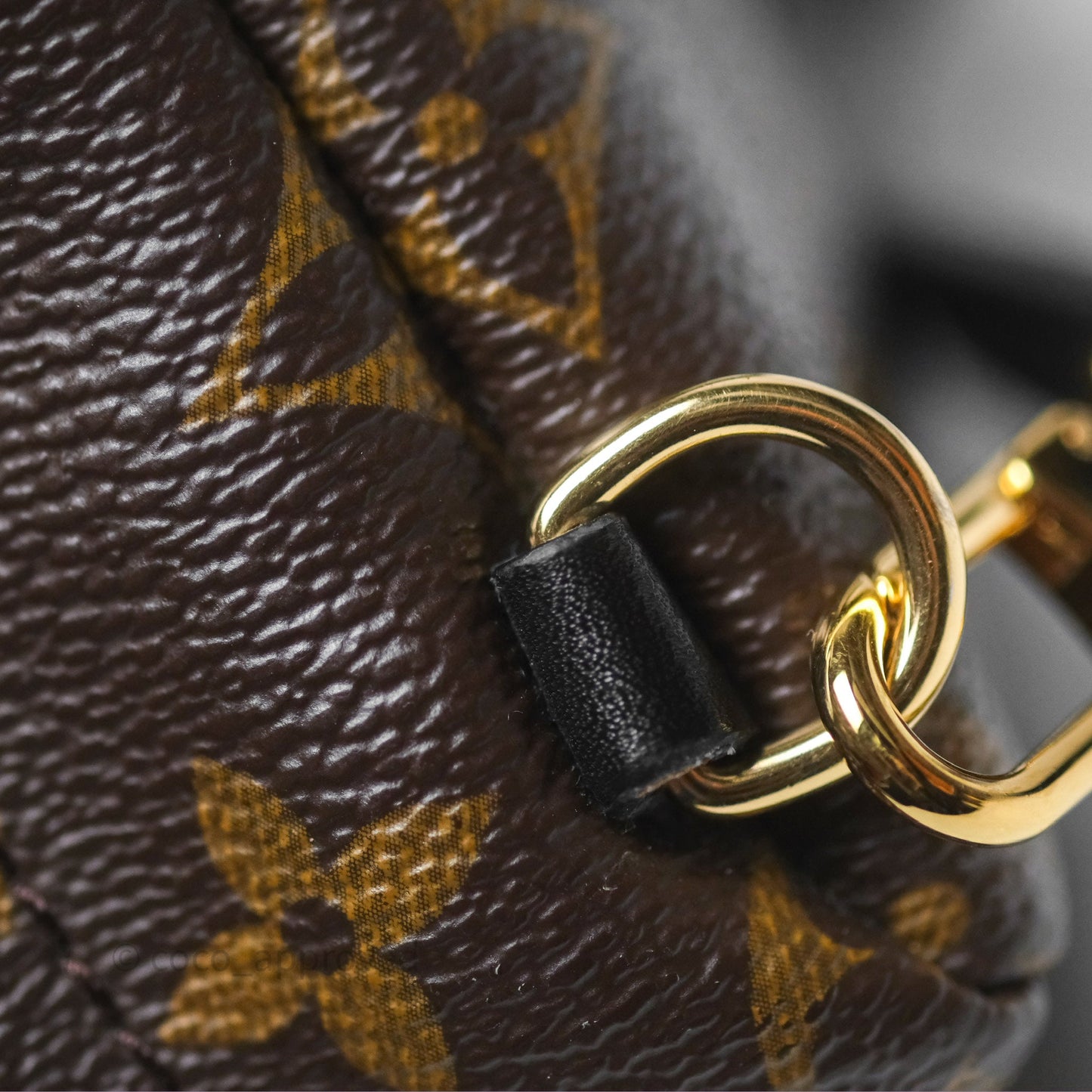 Louis Vuitton Monogram Mini Palm Springs Backpack⁣