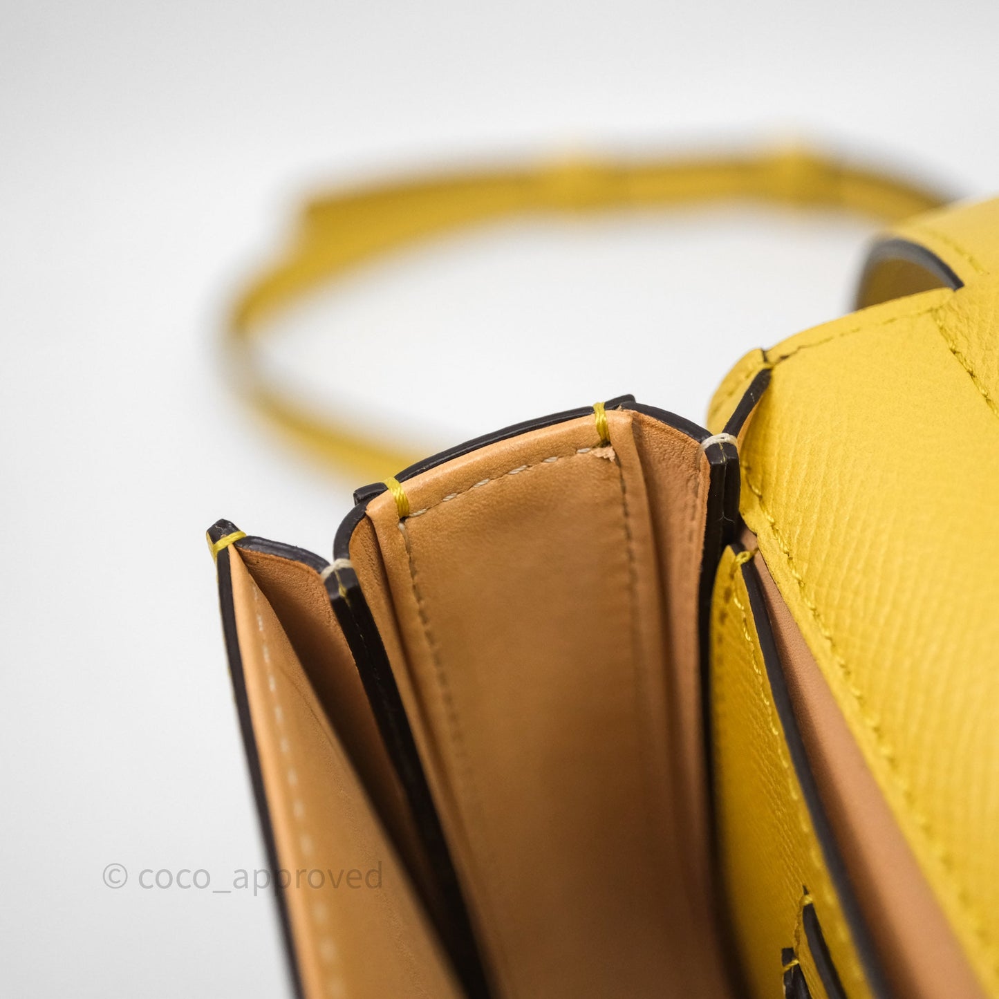 Delvaux Small Lingot Bag Pollen Alpina Calfskin Gold Hardware