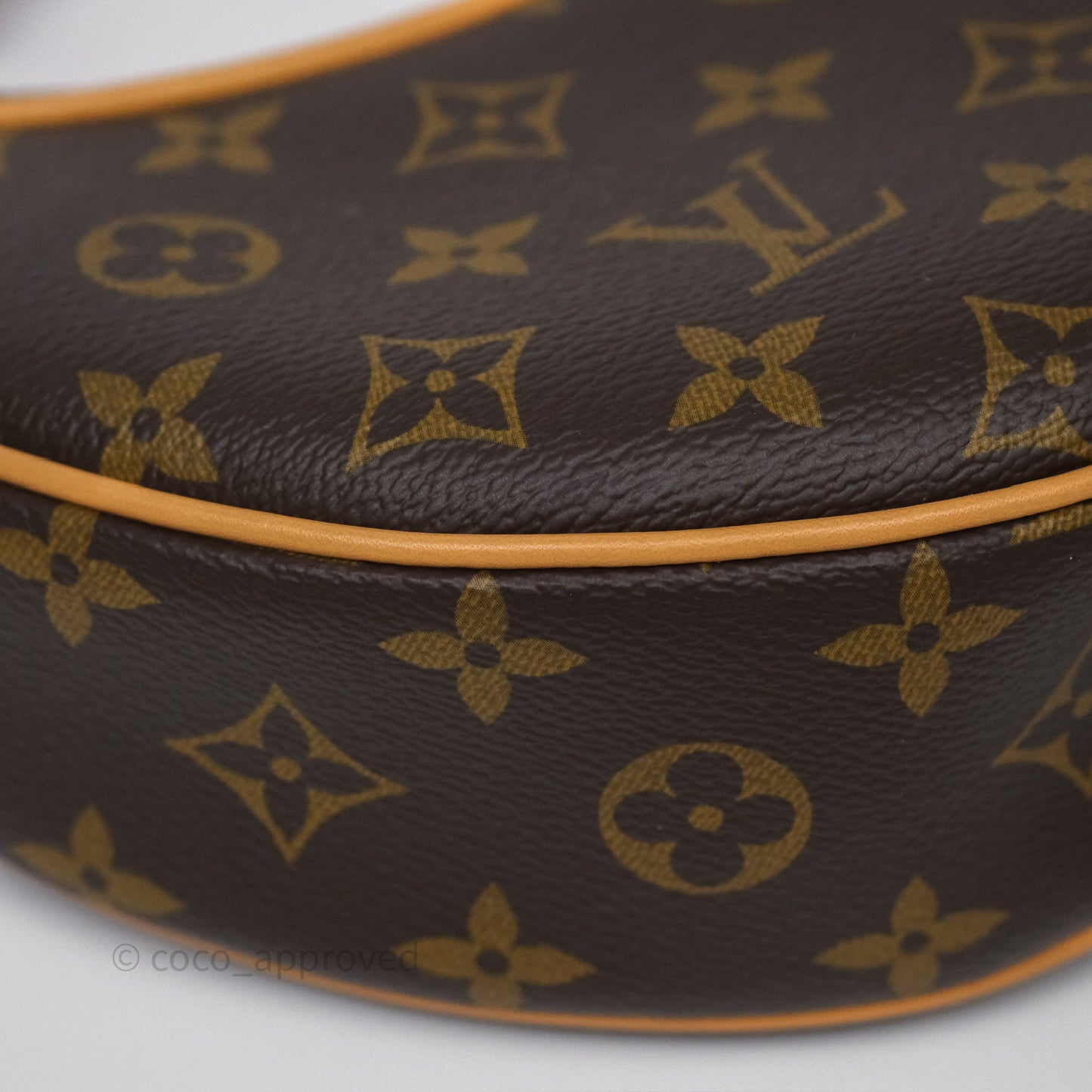 Louis Vuitton Loop Monogram Canvas
