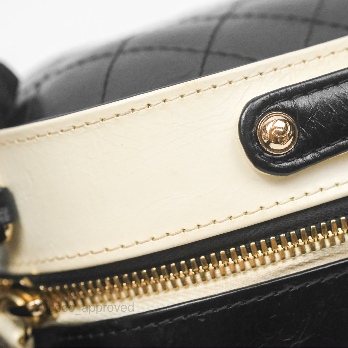 Chanel Camera Case Bag Black/White Calfskin Gold Hardware