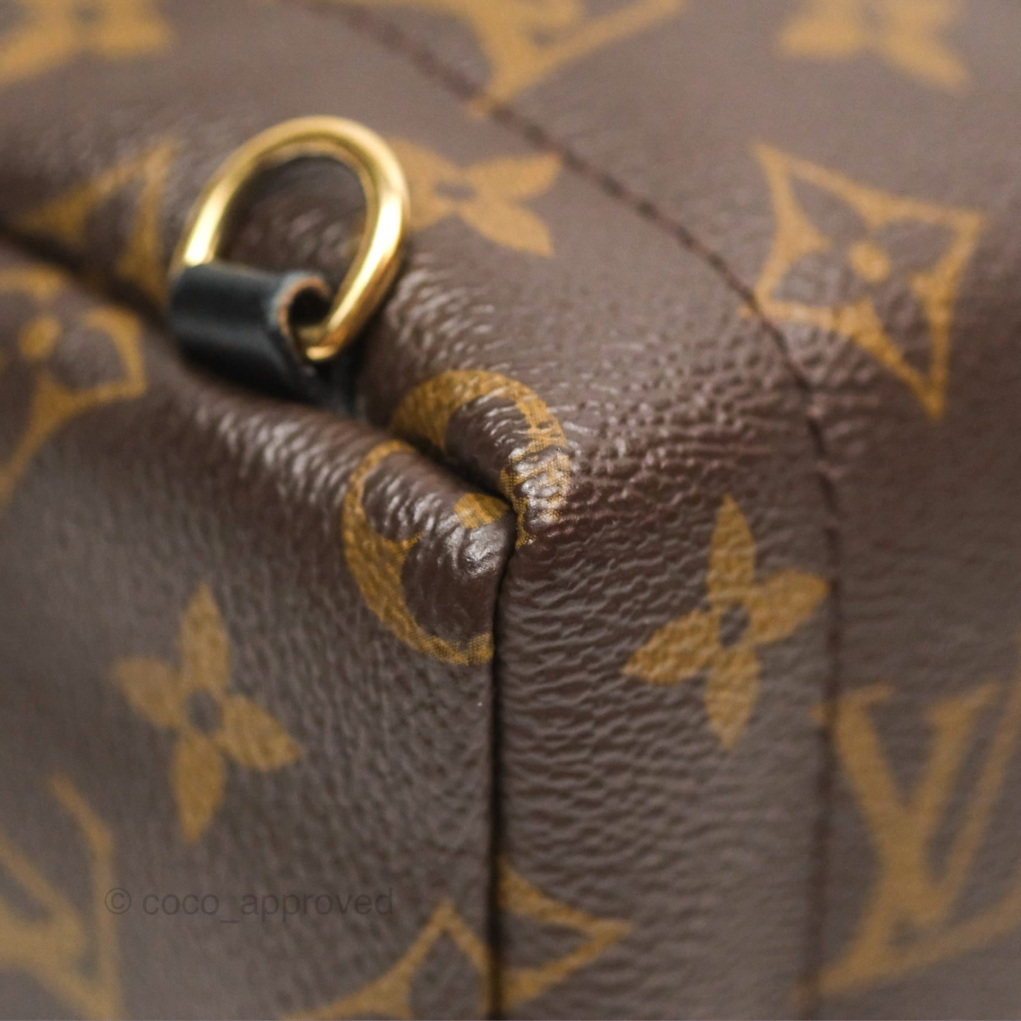 Louis Vuitton Mini Palm Springs Backpack⁣ Monogram