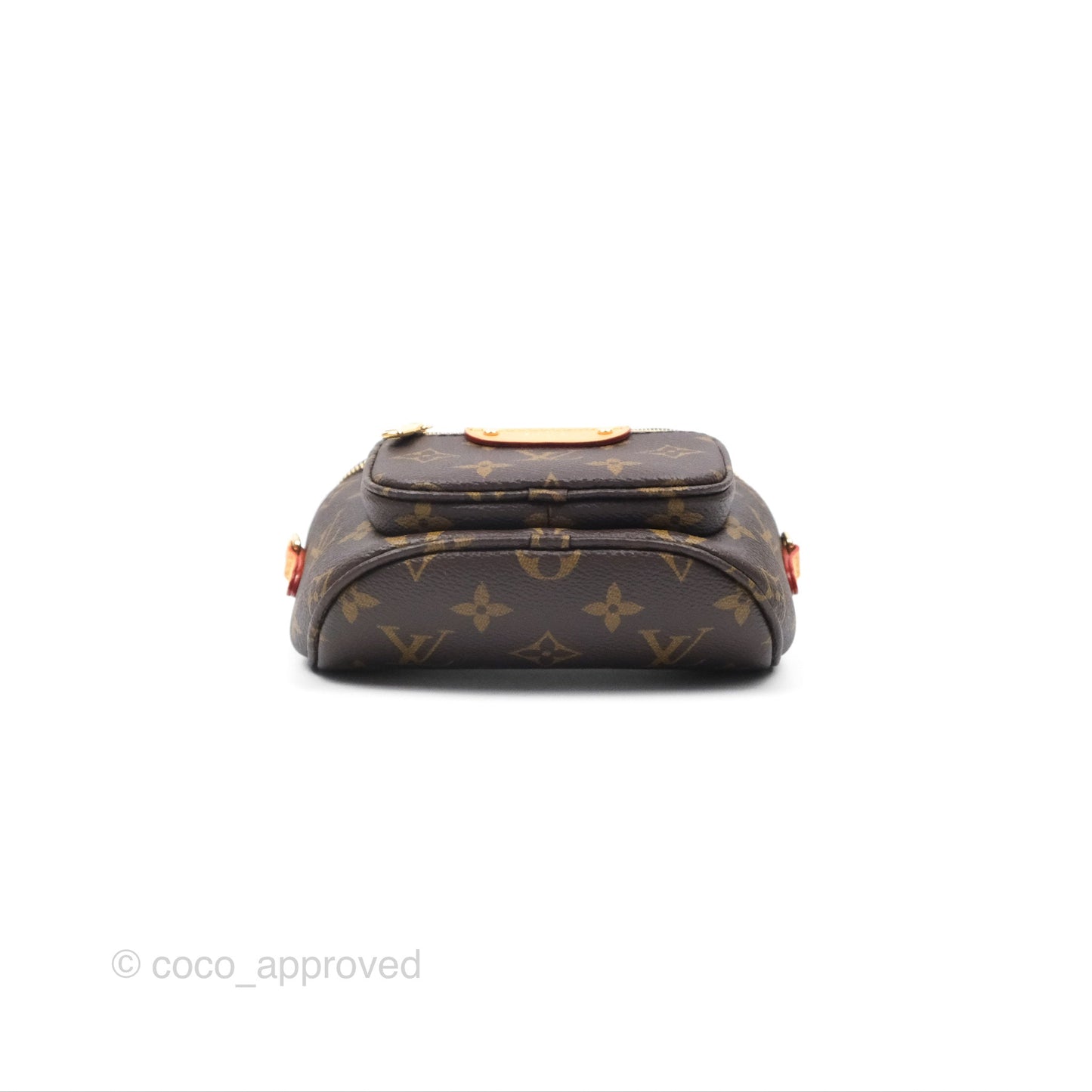 Louis Vitton Mini Bumbag in Monogram Canvas