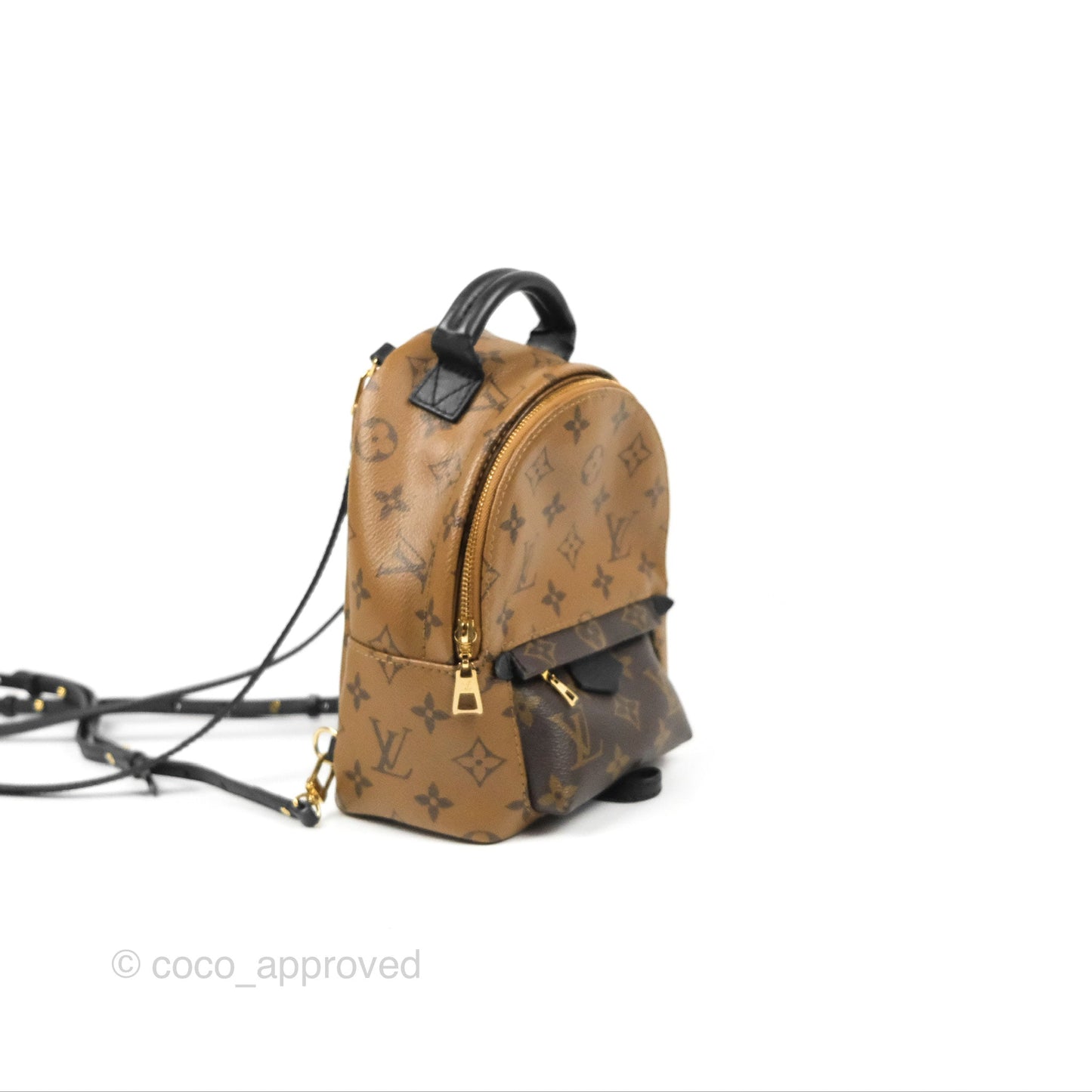 Louis Vuitton Reverse Mini Palm Springs Backpack⁣