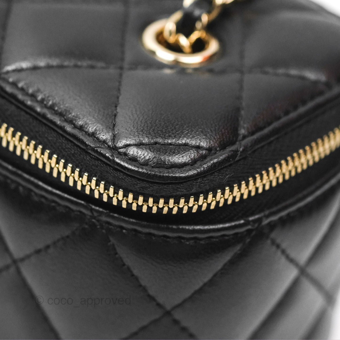 Chanel Vanity Rectangular with Chain Black Lambskin Gold Hardware