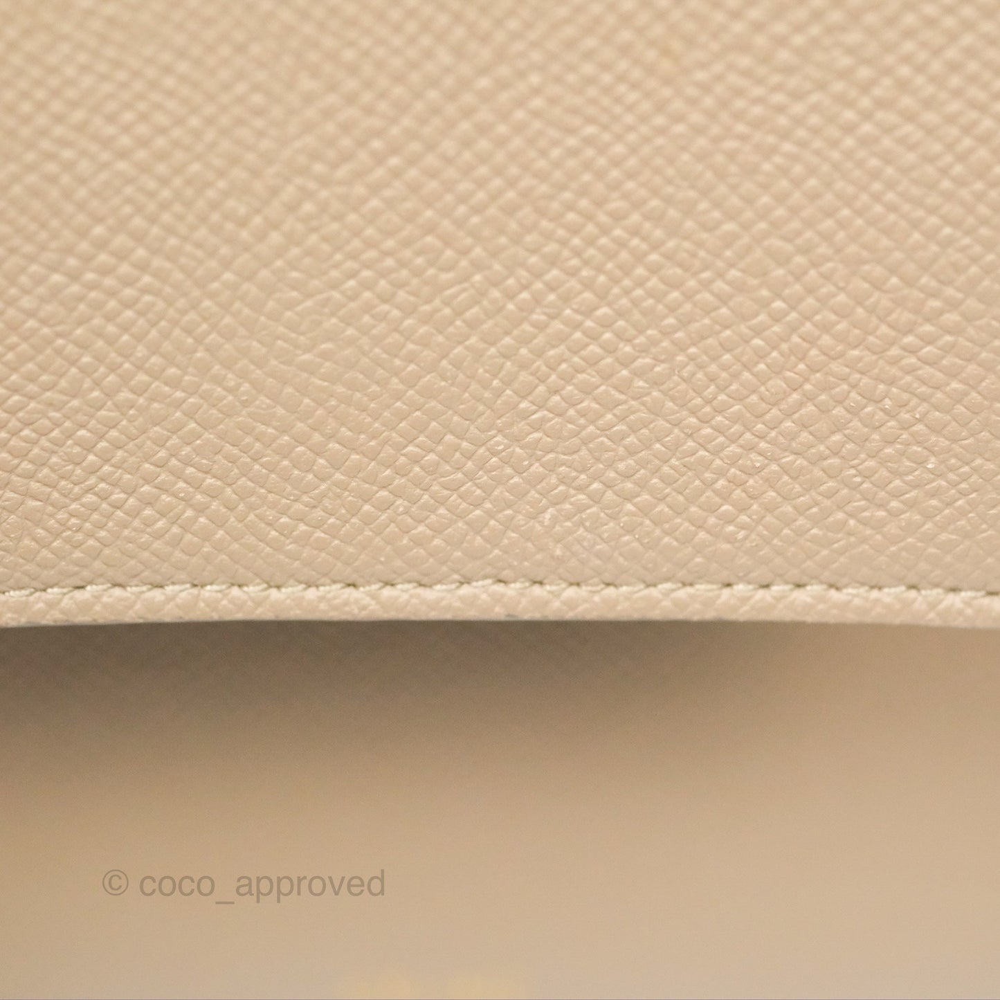 Celine Nano Belt Bag Light Taupe Grained Calfskin Gold Hardware