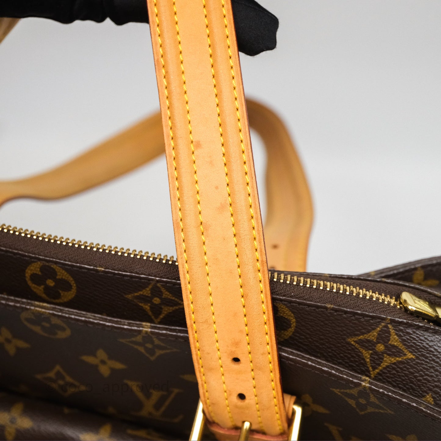 Louis Vuitton Multipli-Cite Tote Monogram Canvas