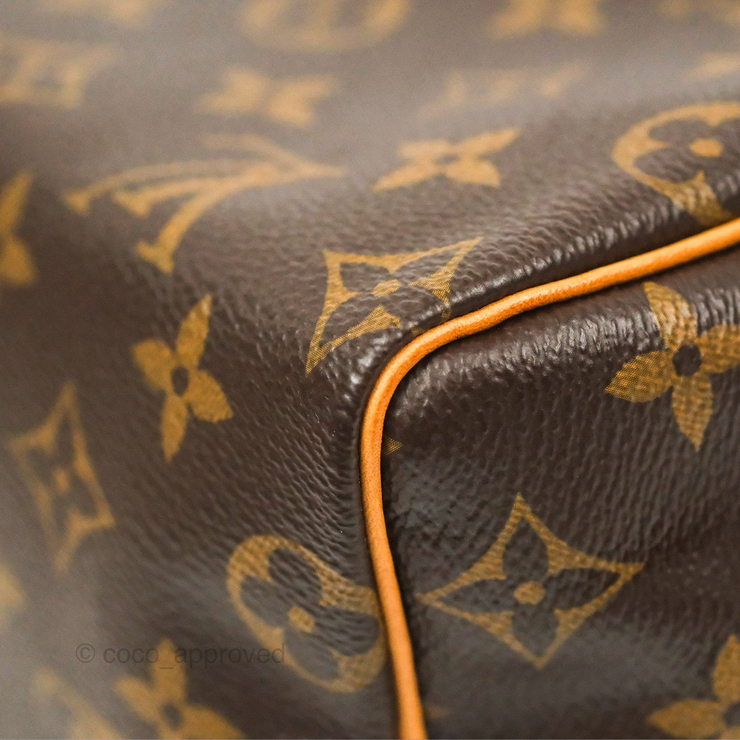 Louis Vuitton Speedy 25 Monogram Canvas