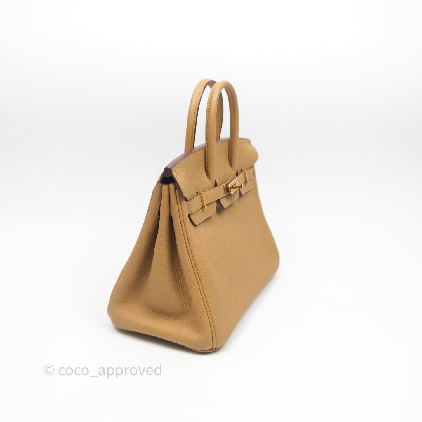 Hermès Birkin 25 Retourne Biscuit 4B Togo Gold Hardware