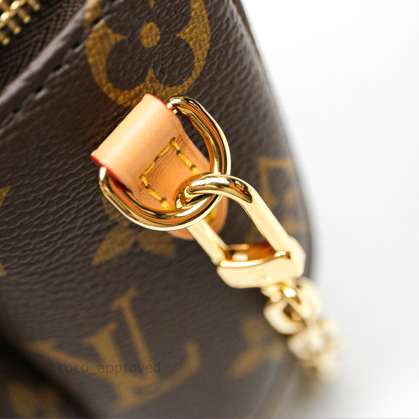 Louis Vitton Mini Bumbag in Monogram Canvas