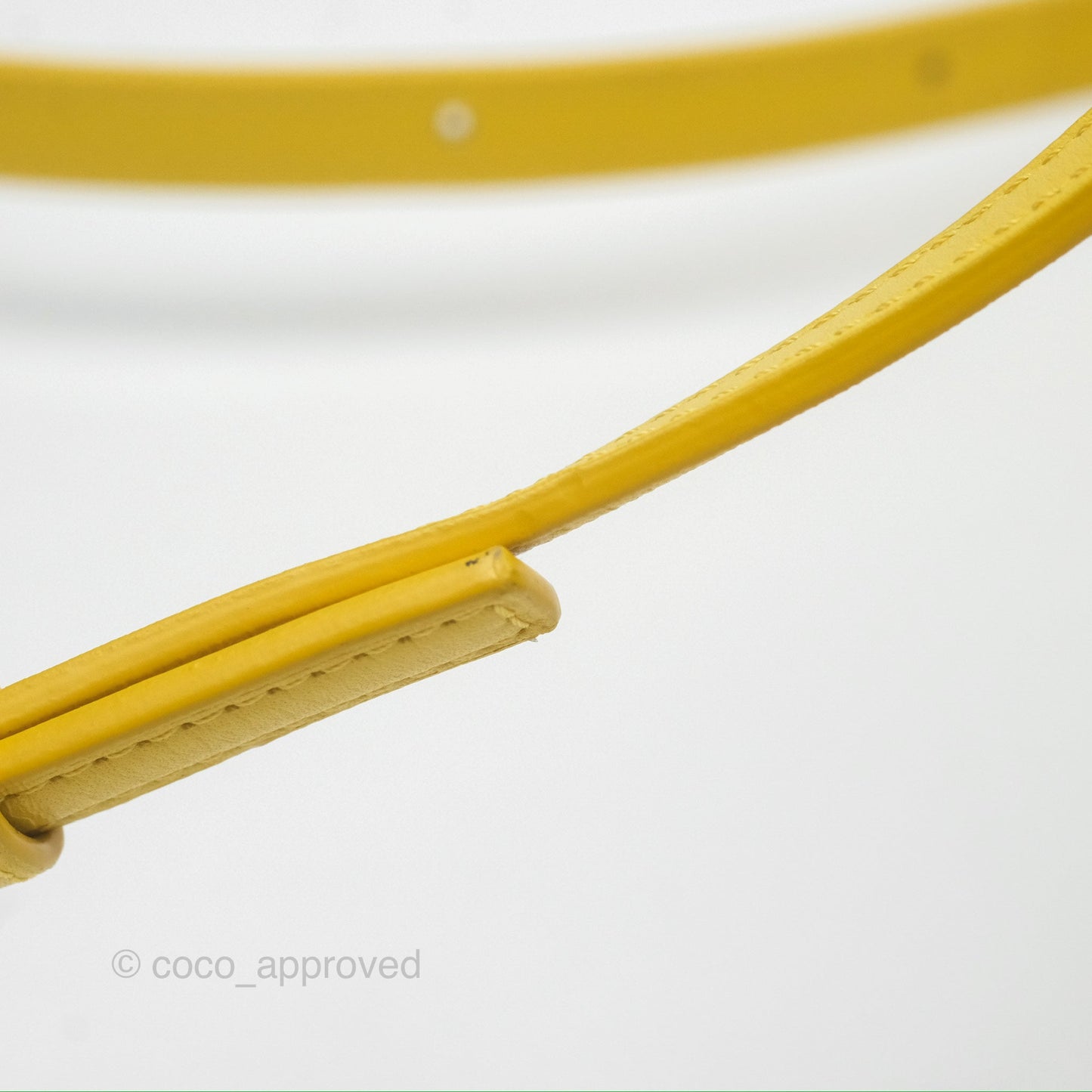 Loewe Small Goya Bag Yellow Silk Calfskin