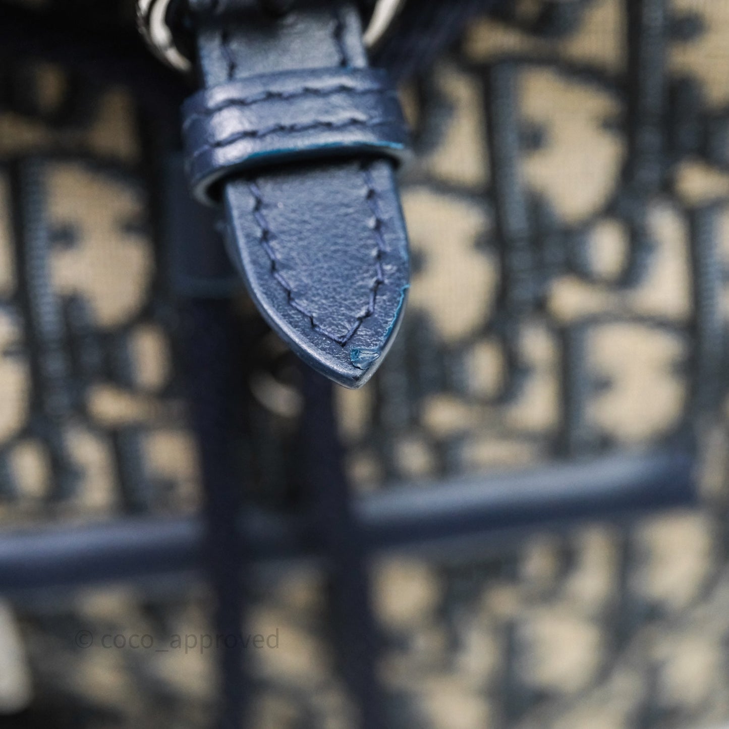 Christian Dior Mini Backpack Oblique Jacquard Beige and Blue